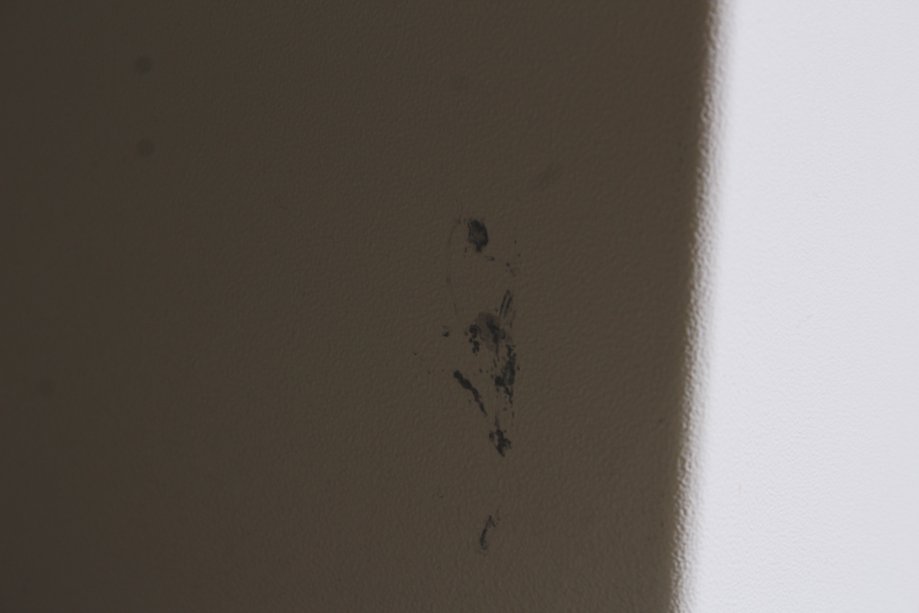 Gameroom Concepts Unlimited Billiard Table with Kettler Ping Pong Cover and Gear