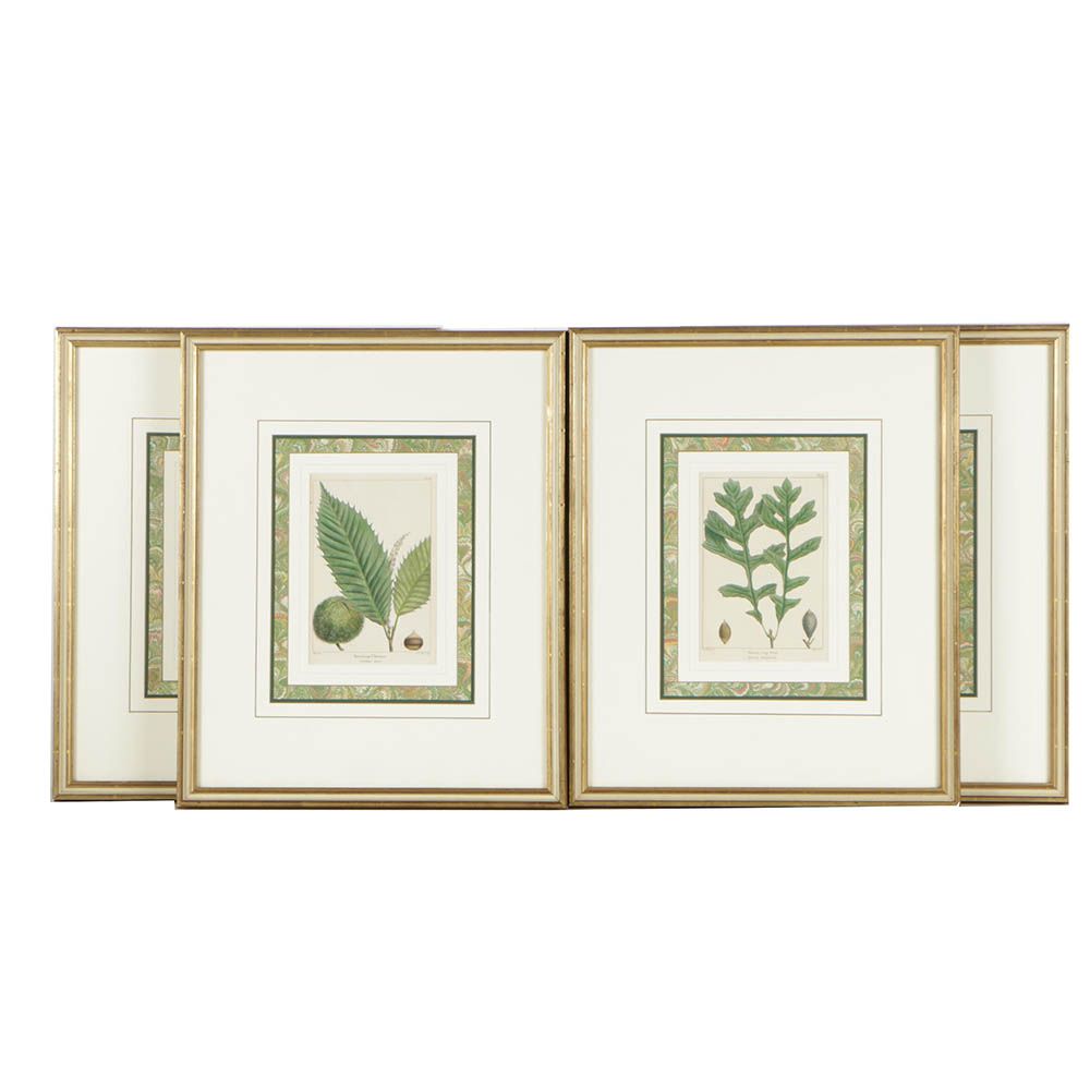 Hand-Colored Botanical Etchings After Henri-Joseph Redouté and Pancrace Bessa