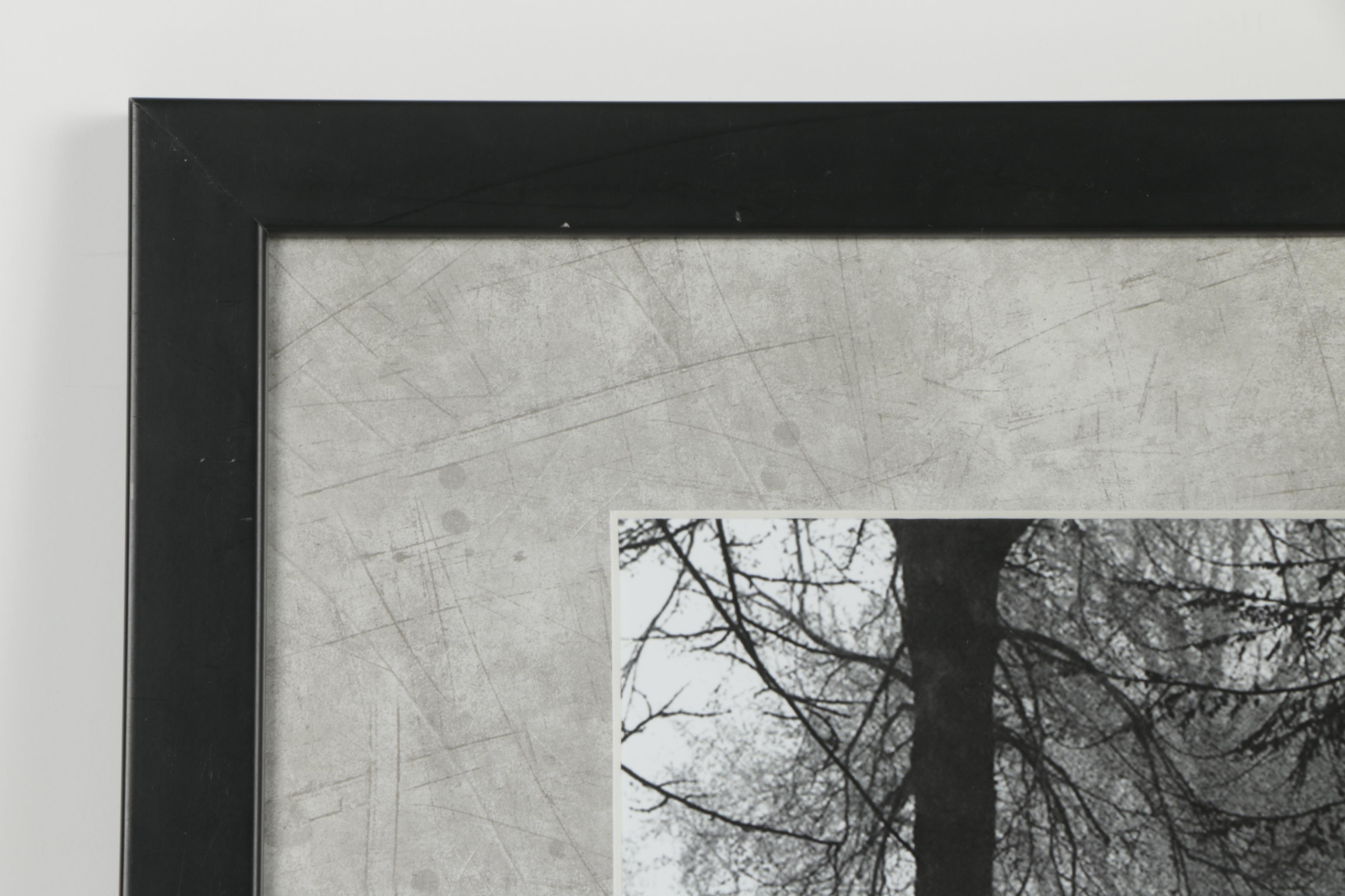 Sharon Peterson Giclée Print "A Walk in the Park"