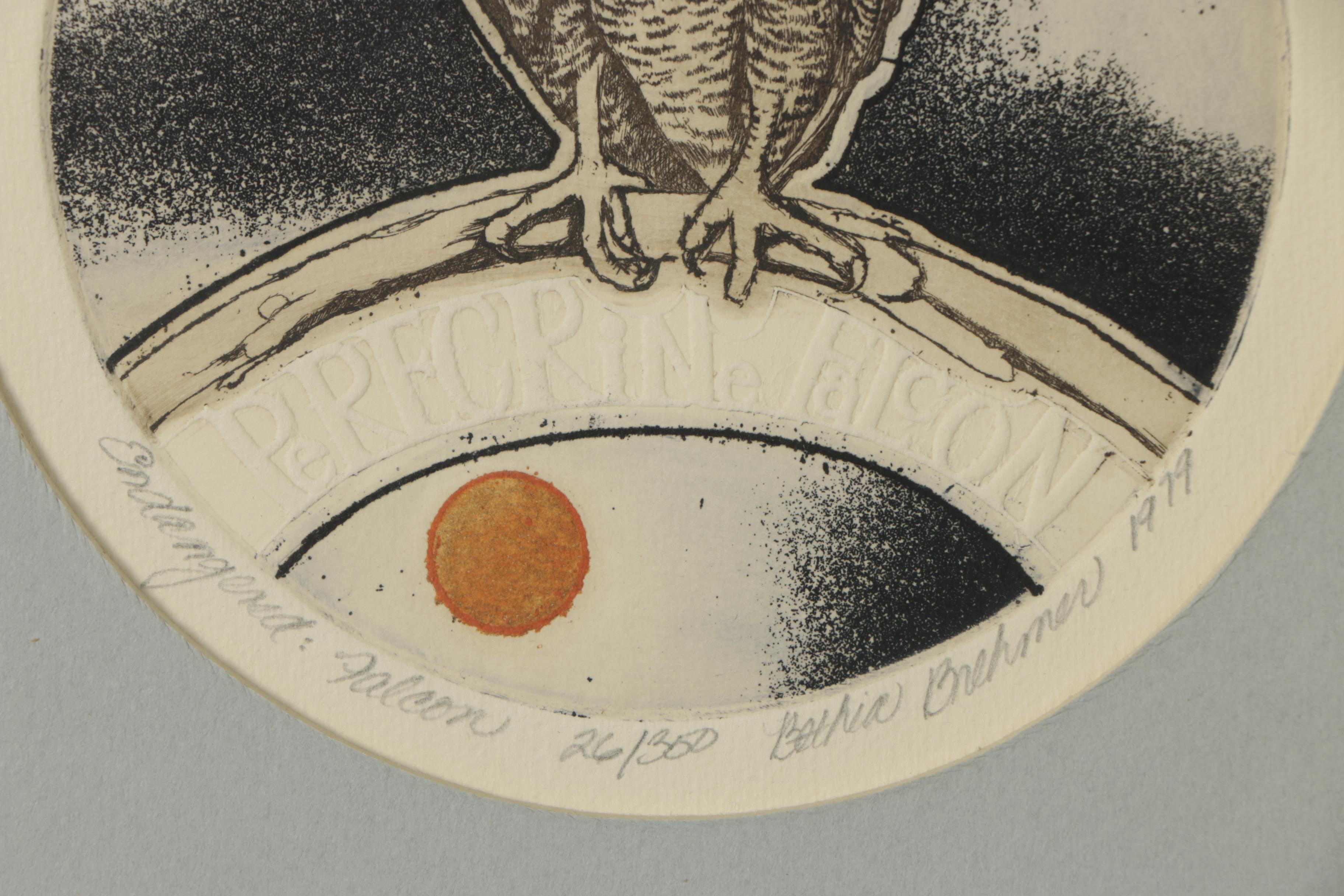 Bethia Brehmer 1979 Etching on Embossed Paper "Endangered: Falcon"