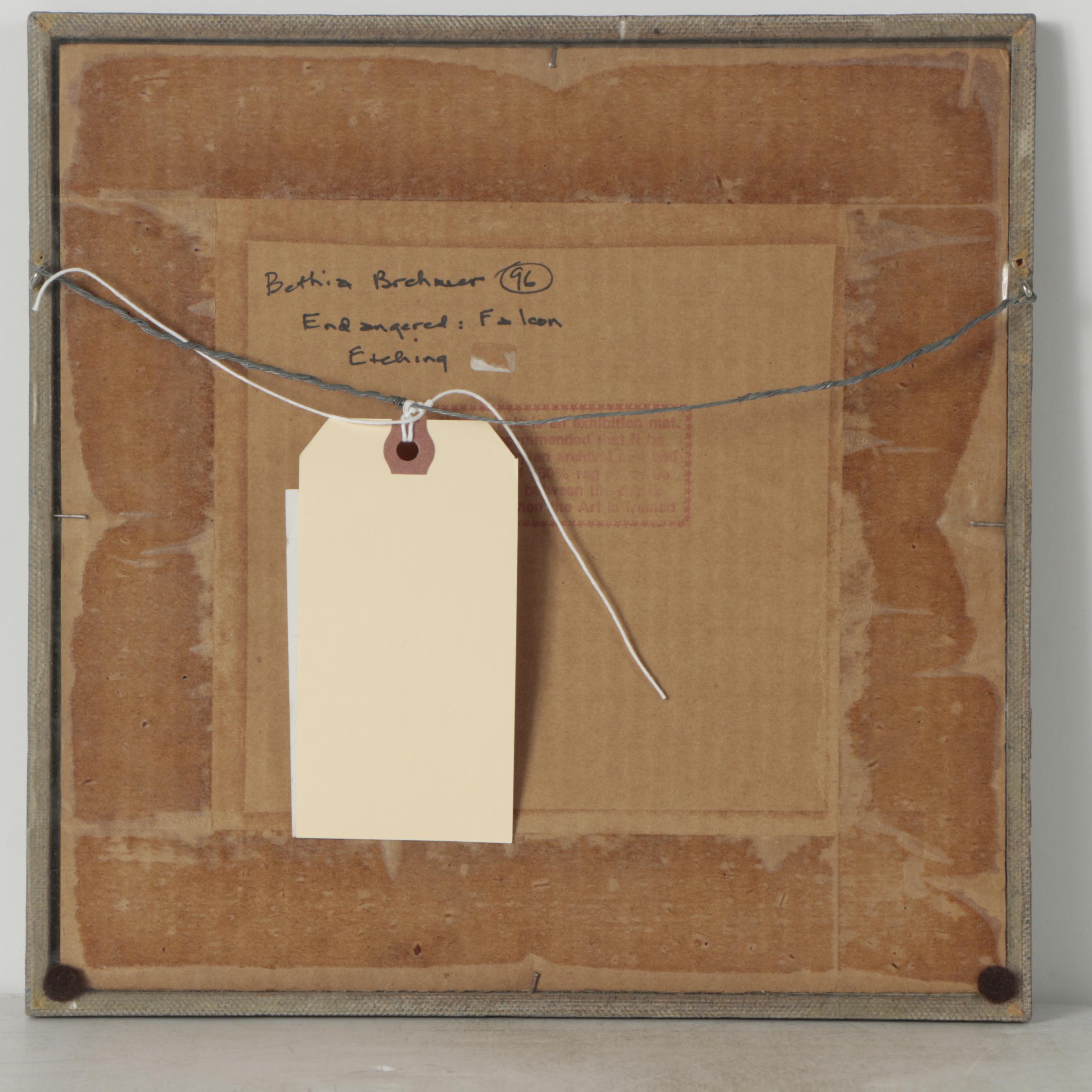 Bethia Brehmer 1979 Etching on Embossed Paper "Endangered: Falcon"