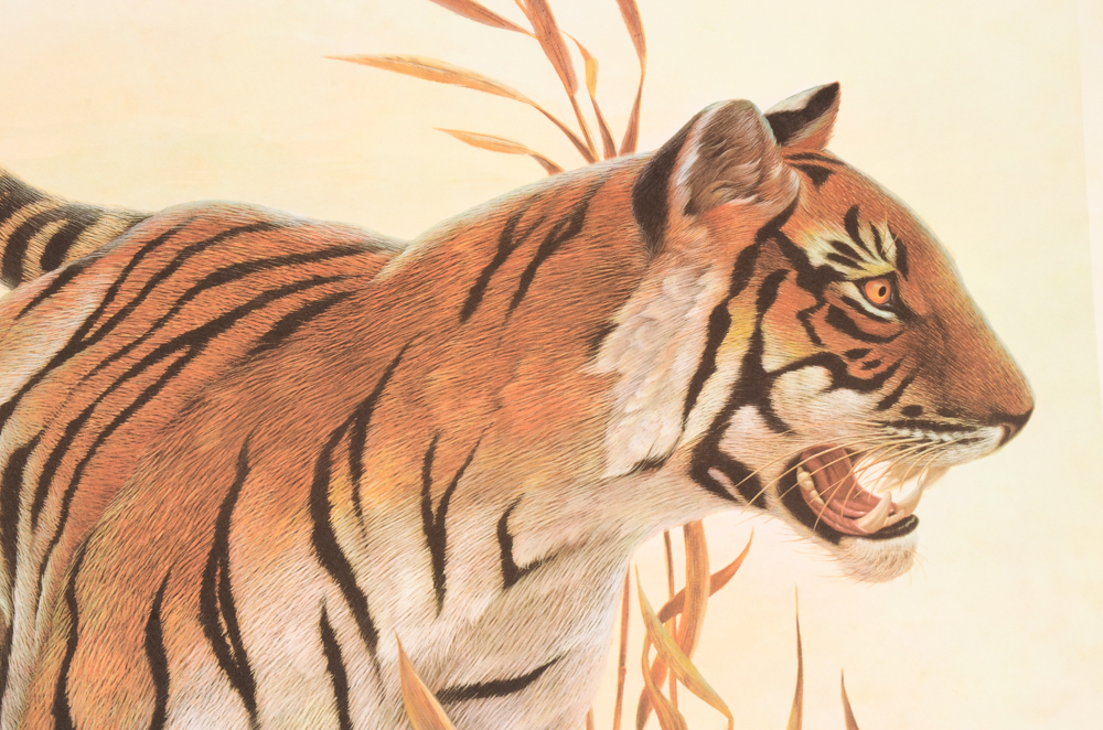 John A. Ruthven Limited Edition Offset Lithograph Print "Bengal Tiger"