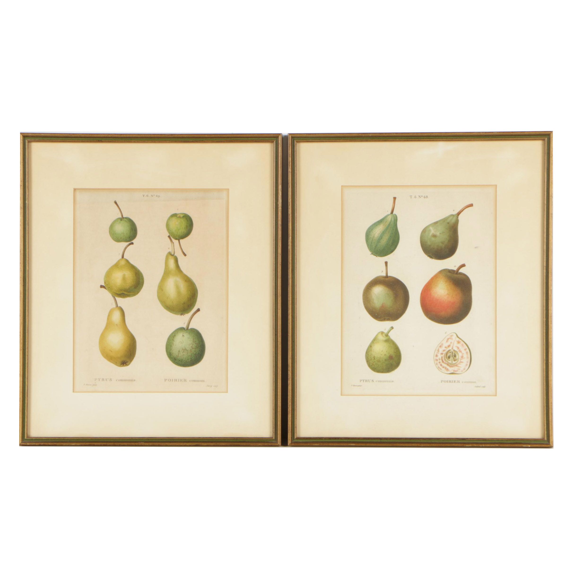 Pancrace Bessa Color Etchings of Pears