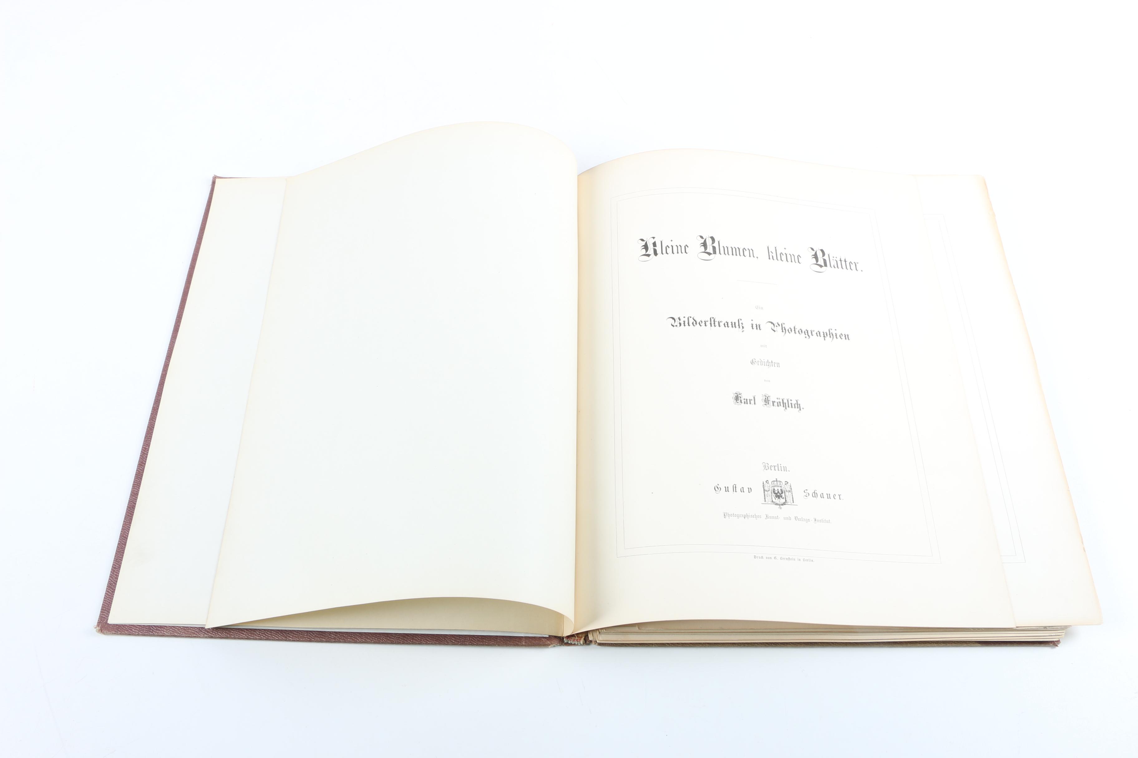 1880 "Kleine Blumen, Kleine Blatter in Bild und Lied" Illustration Booklet