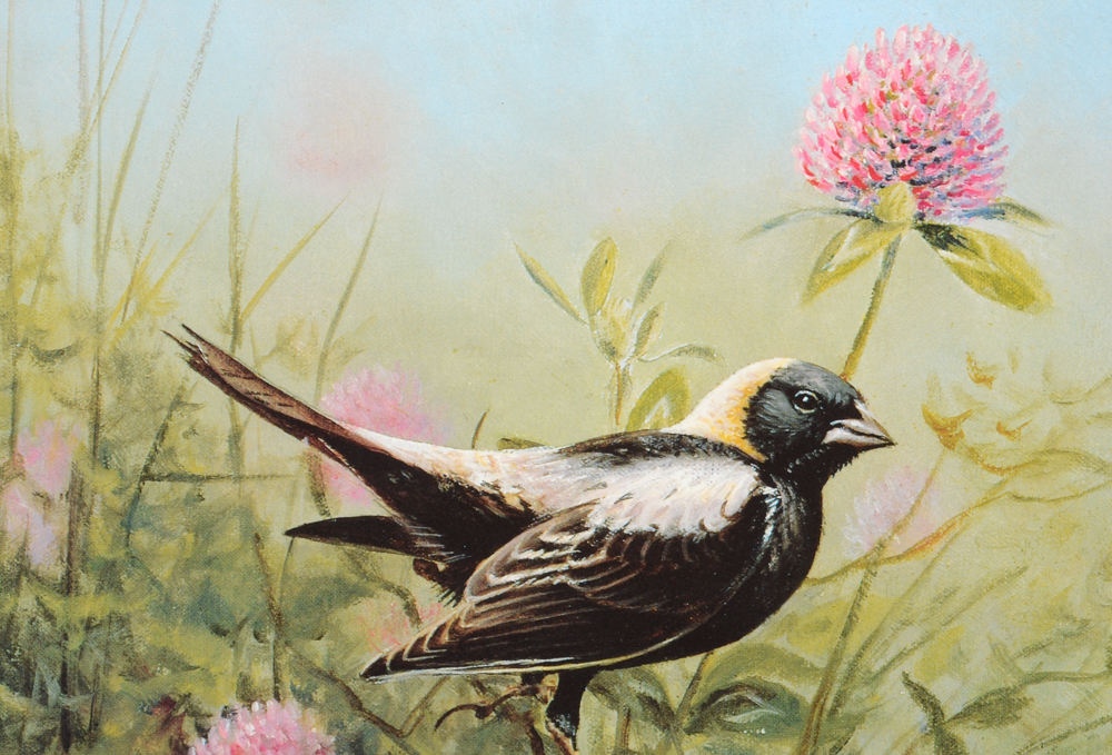 "Audubon's Birds of America" and "The World of Owen Gromme"