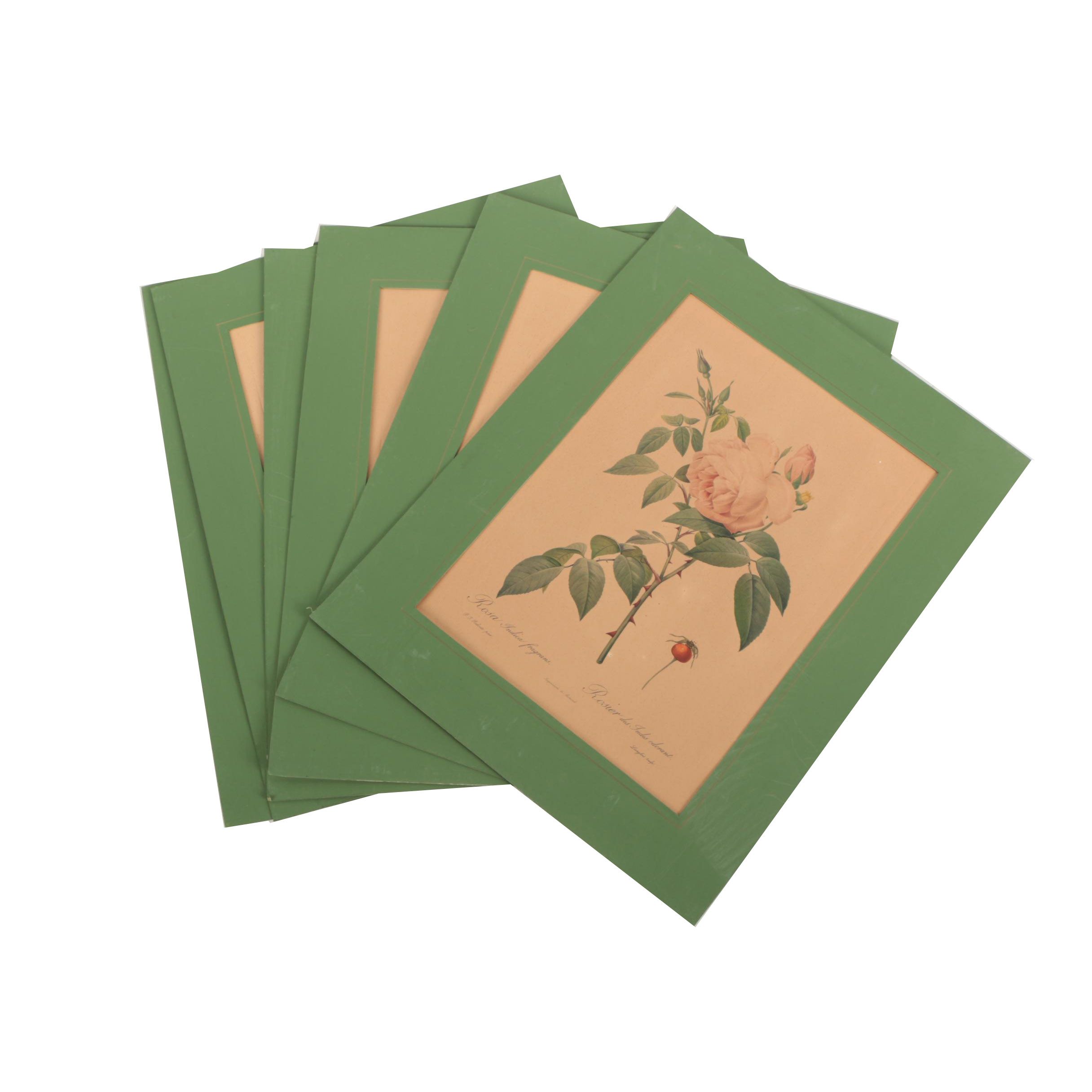 Offset Lithographs After Pierre-Joseph Redouté Botanical Illustrations