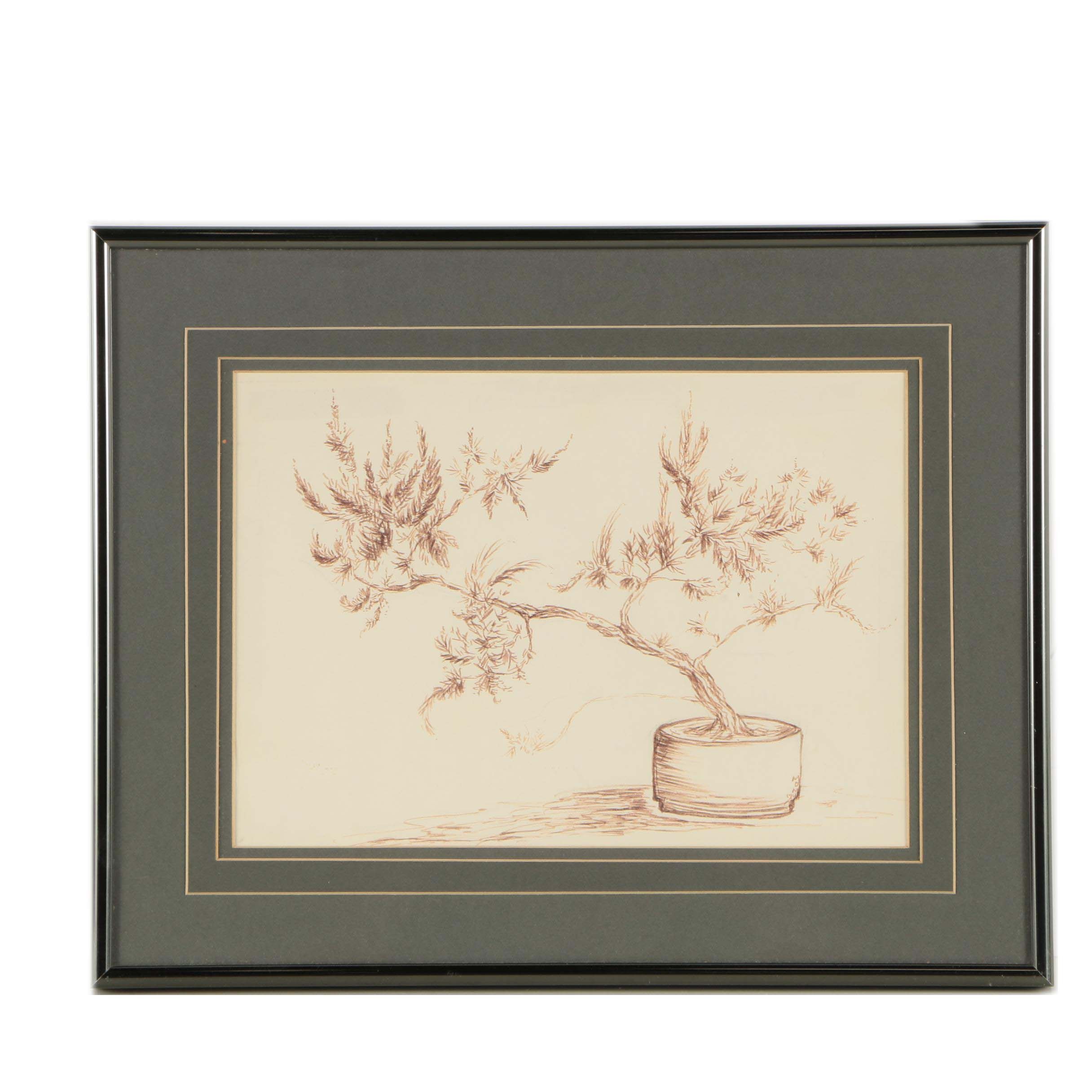 M.O.M. Ink Drawing of a Bonsai