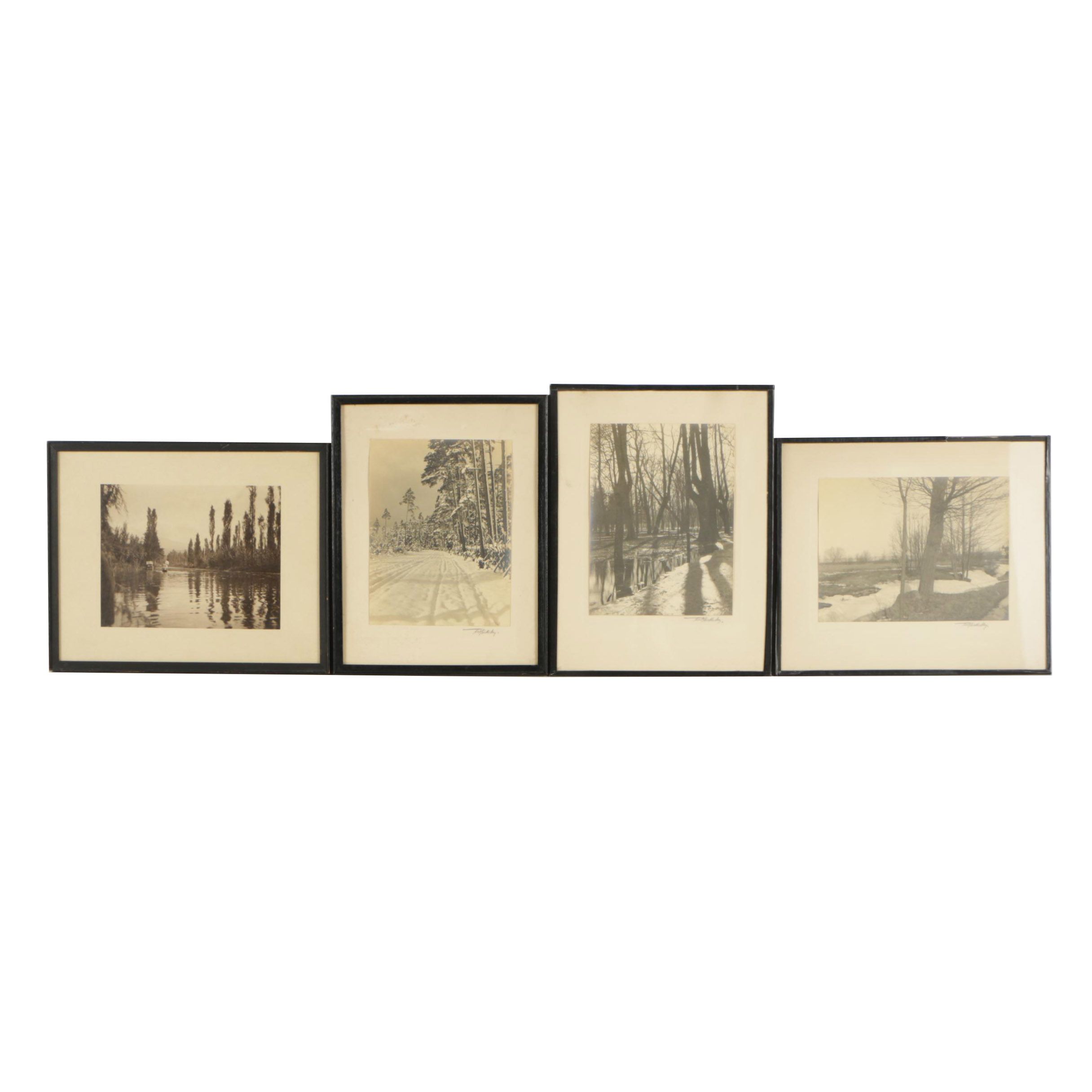 Gelatin-Silver Photographs of Landscapes