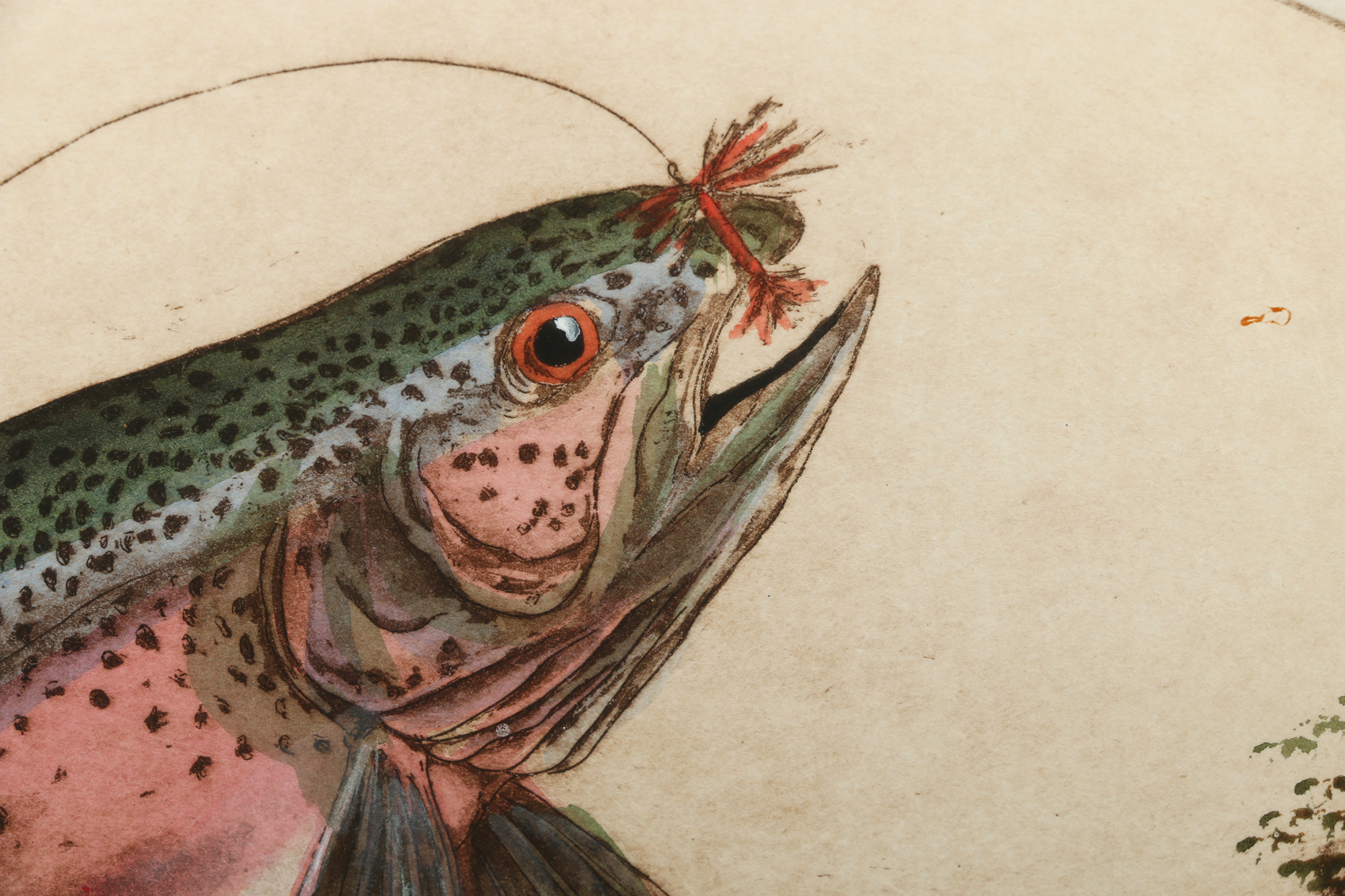 Dianne Krumel Late 20th-Century Etching "Rainbow Trout"