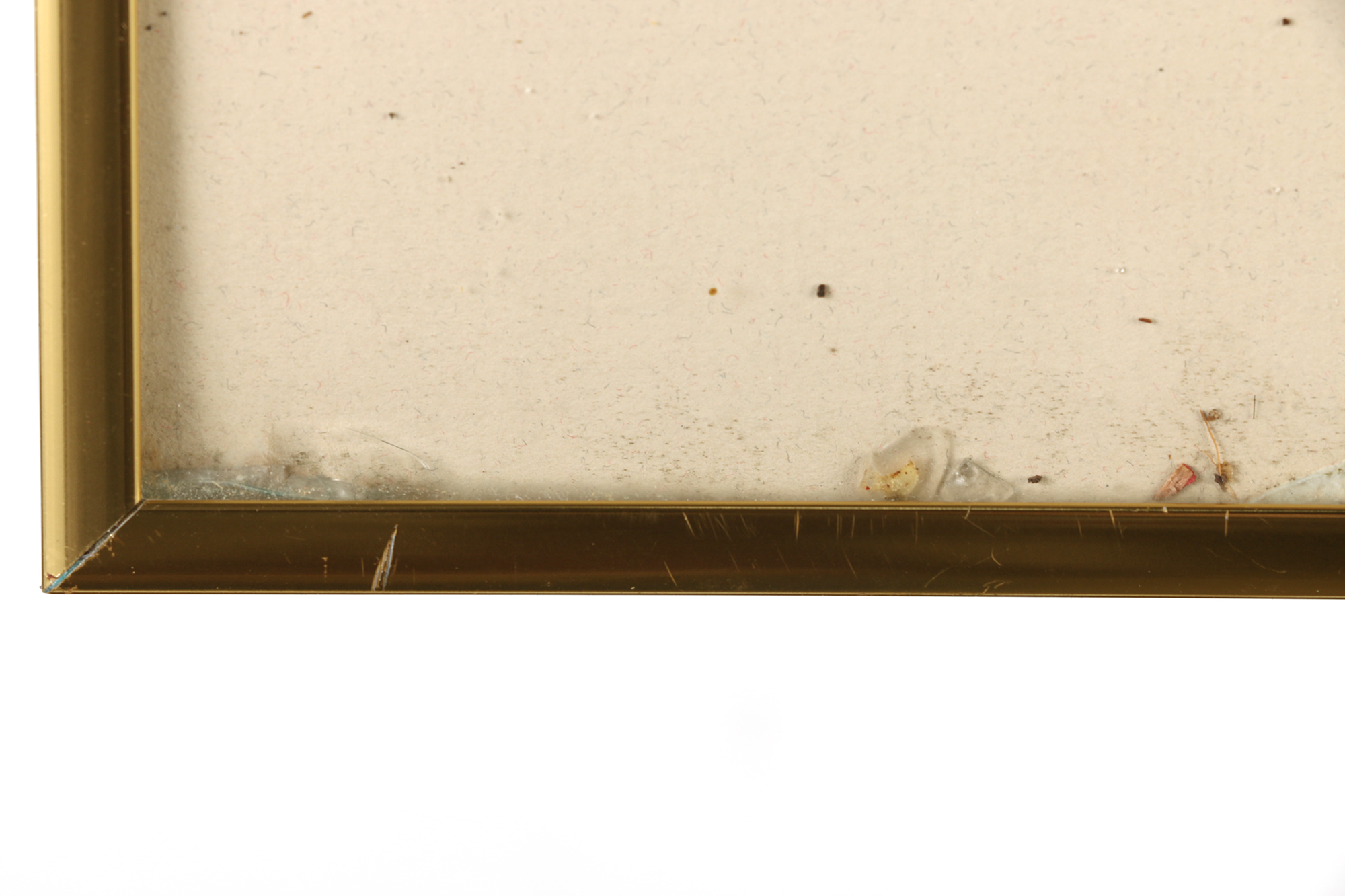 Dianne Krumel Late 20th-Century Etching "Rainbow Trout"