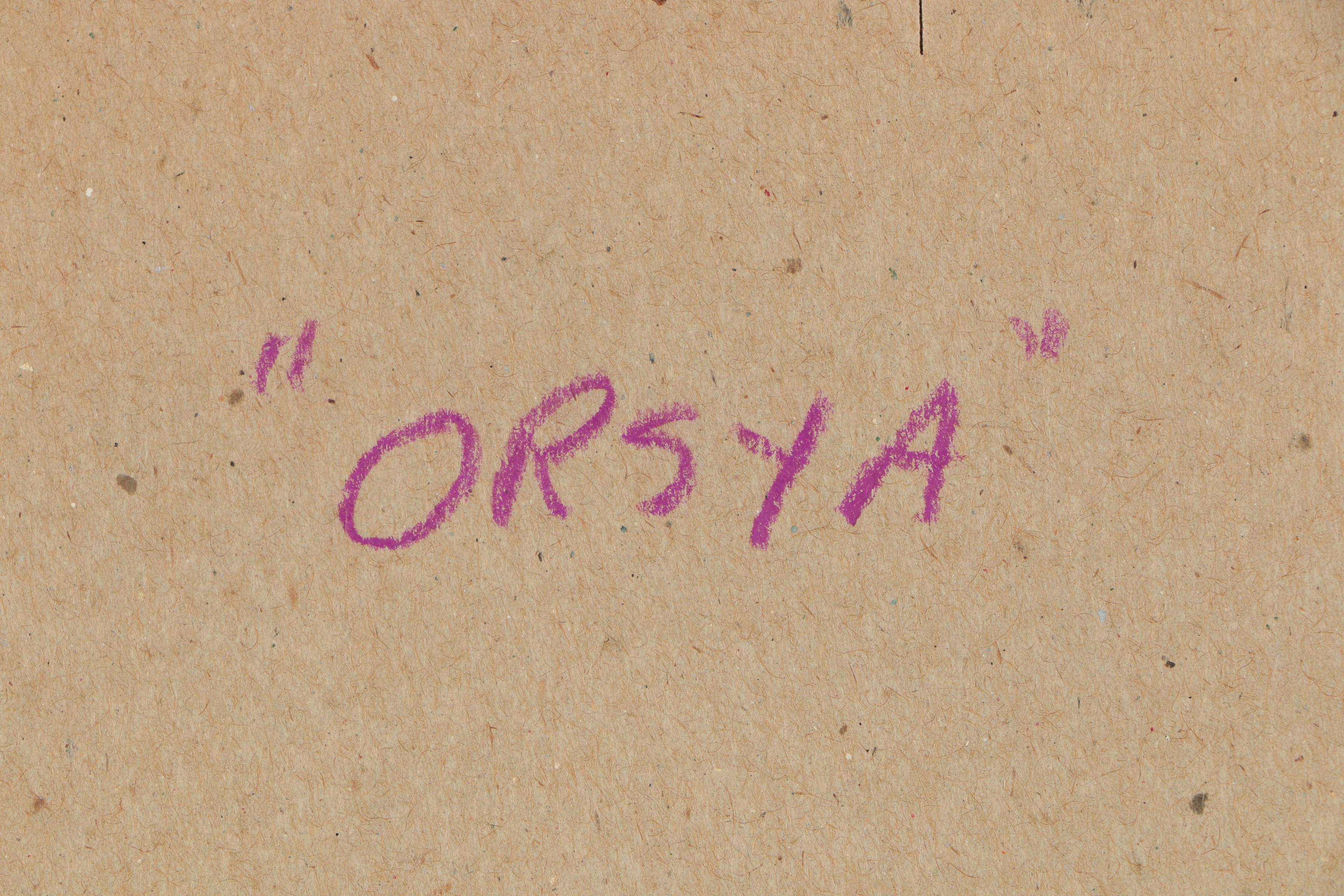 Bev Swan Ink Drawing