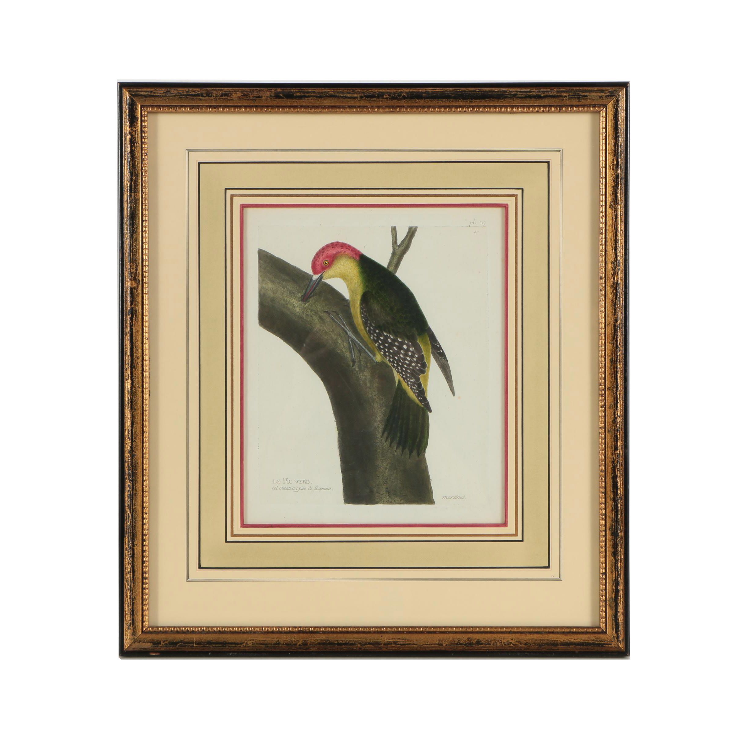 Hand-Colored Engraving of Woodpecker After Martinet "Le Pic Verd"