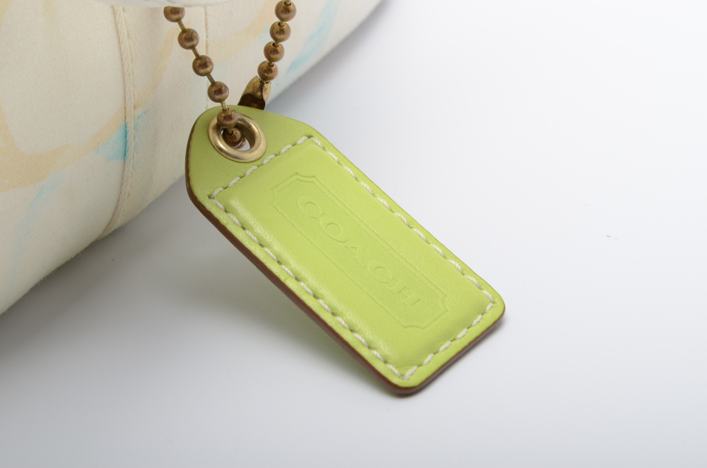 Coach Signature C Watercolor Hampton Tote Handbag