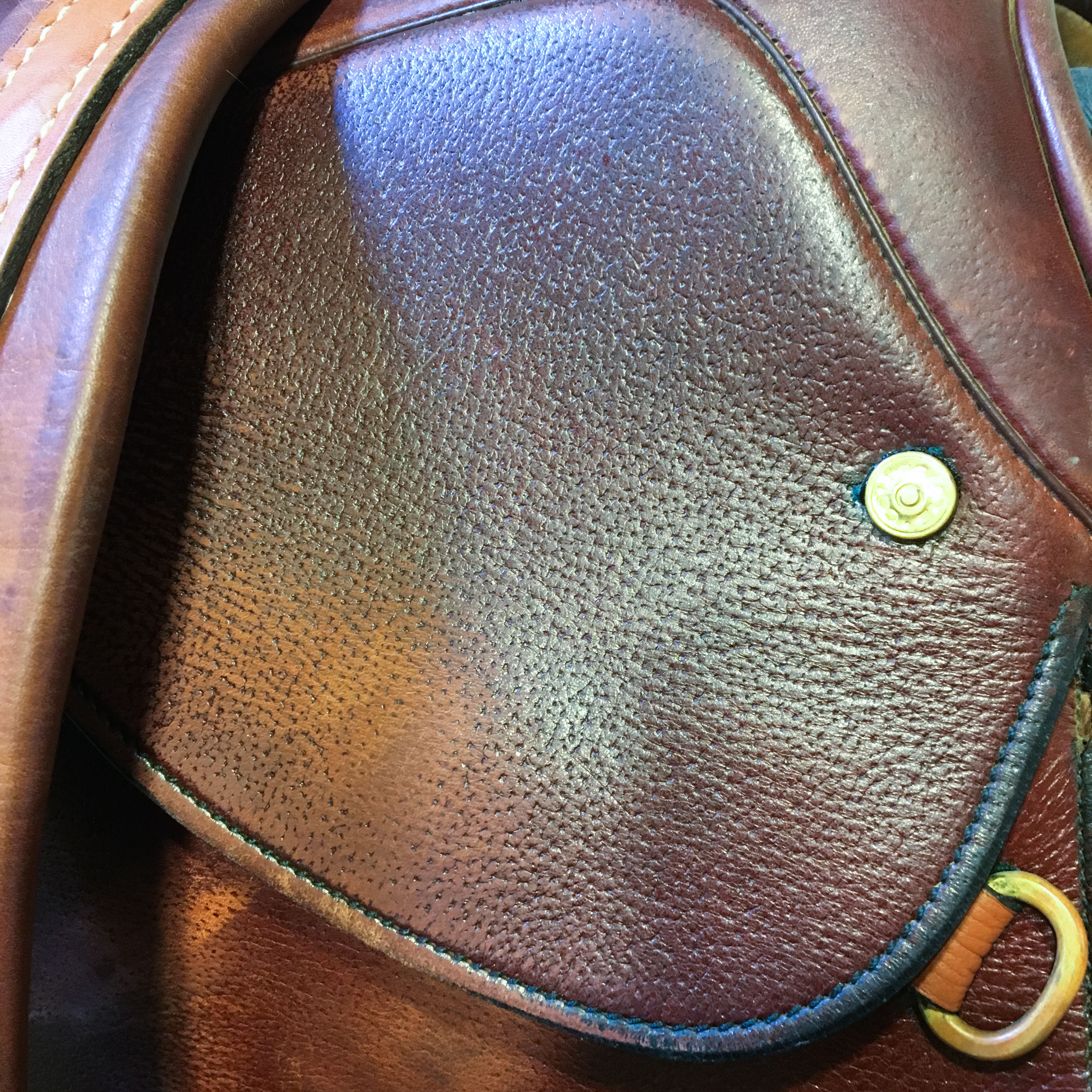 Ian D. Miller English Saddle and Generous Group of Rider's Accessories and Tack