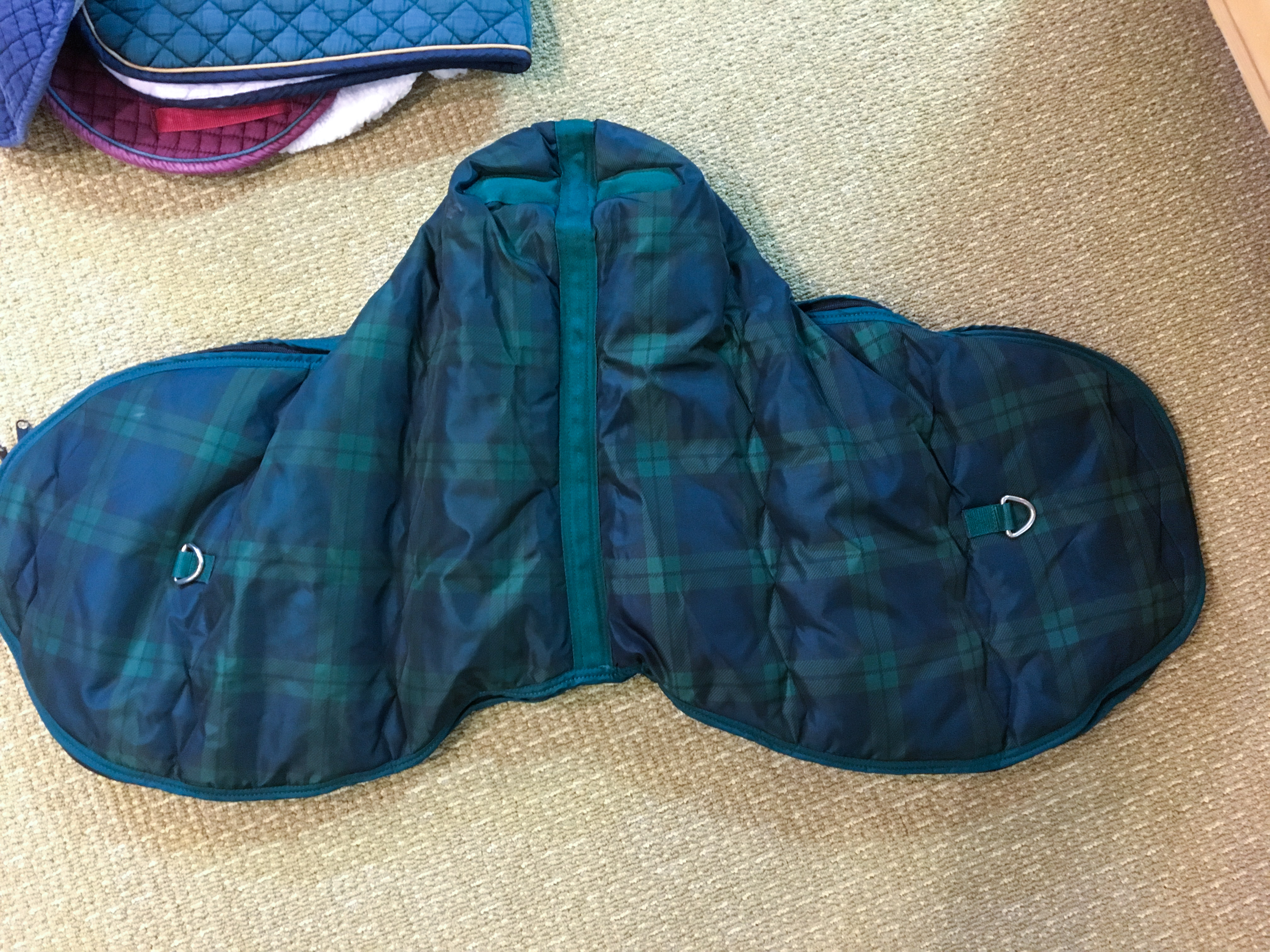 Ian D. Miller English Saddle and Generous Group of Rider's Accessories and Tack