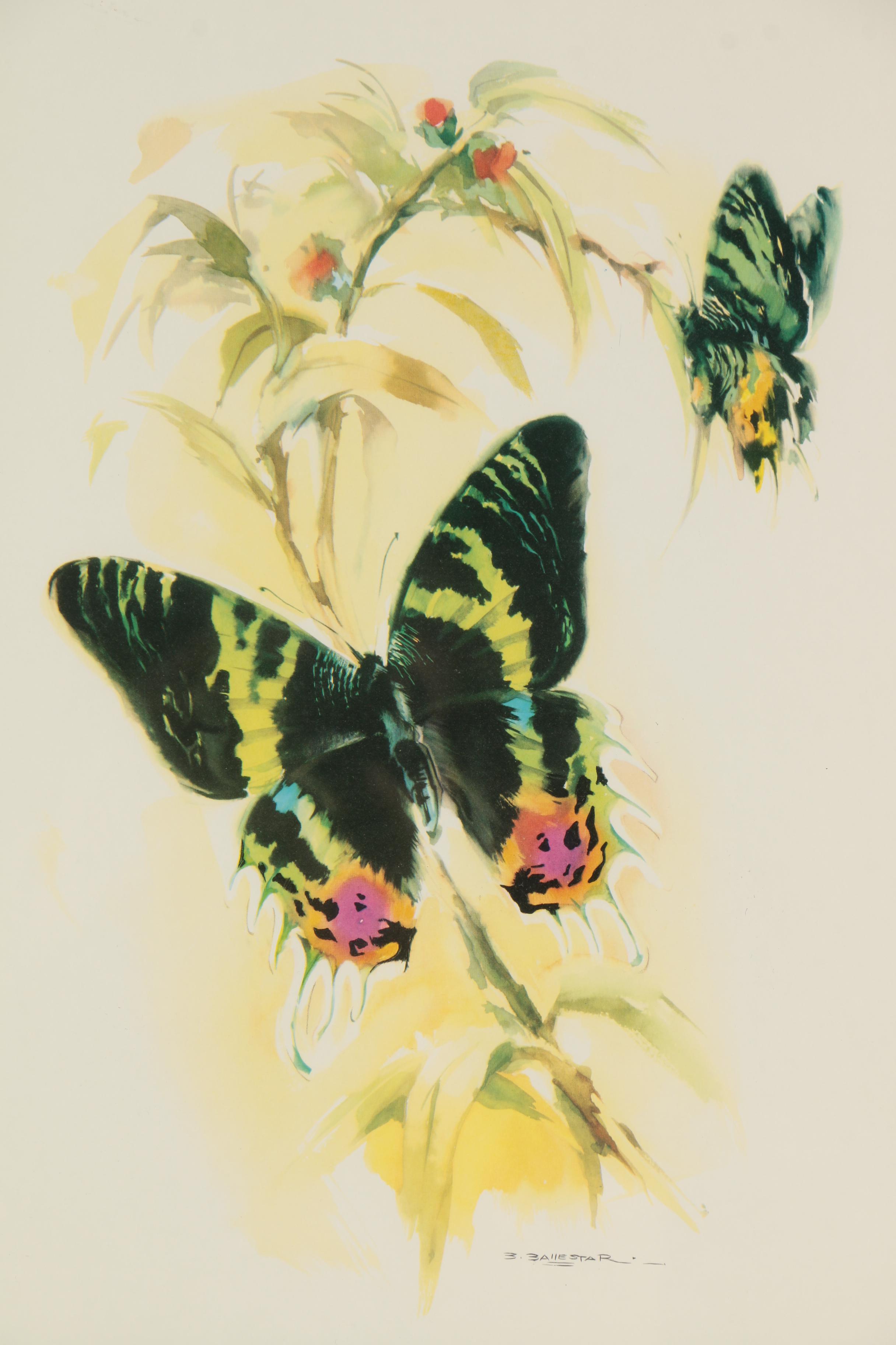 Offset Lithograph After B. Ballestar of Butterflies and Flowers