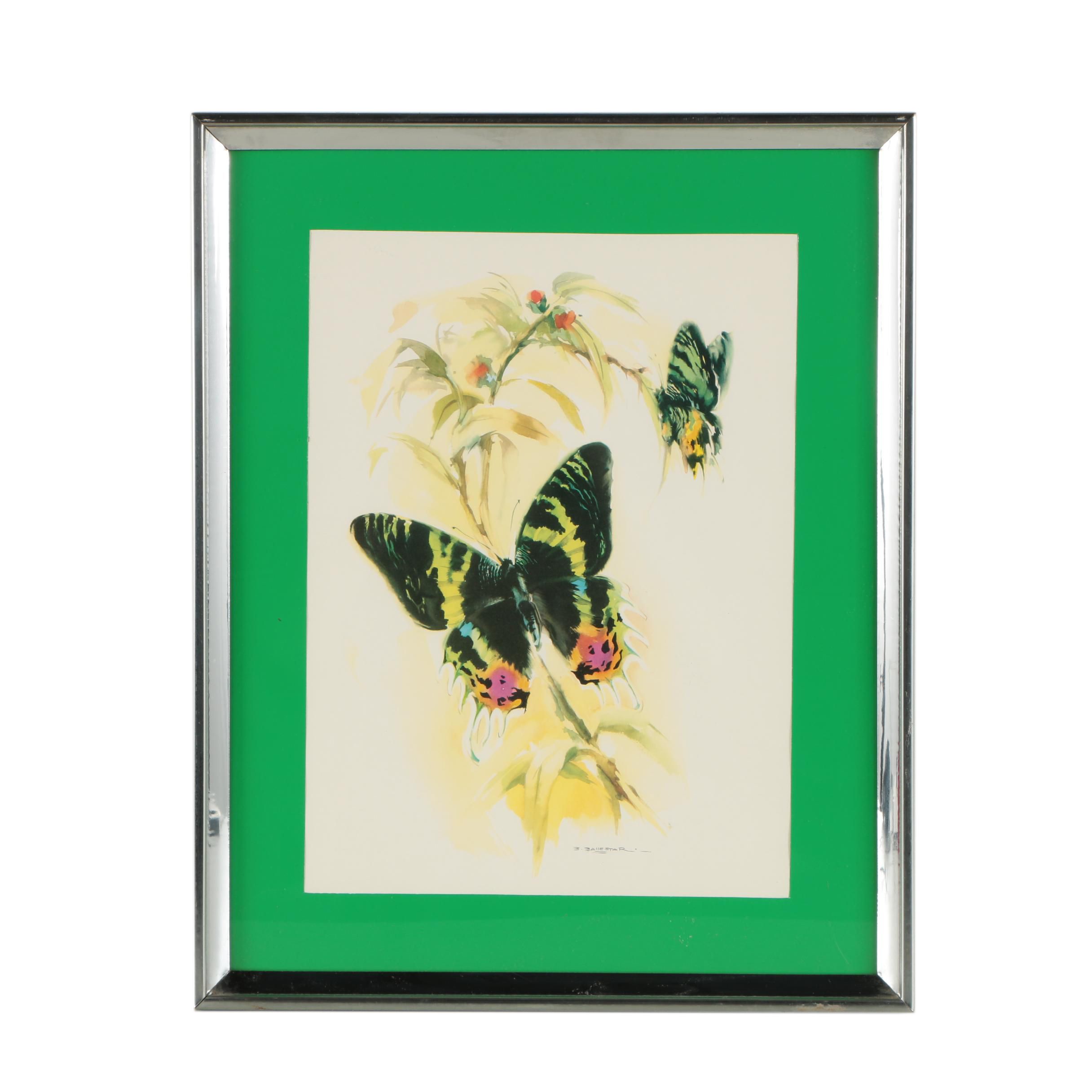Offset Lithograph After B. Ballestar of Butterflies and Flowers