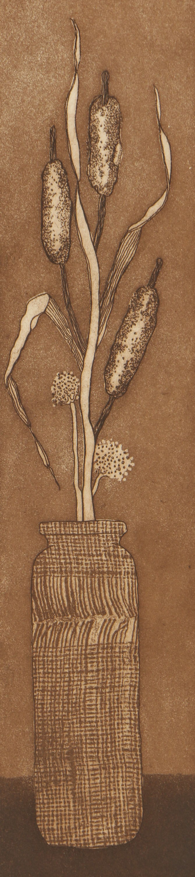 Don Gilbert Etching with Aquatint "Cattails"