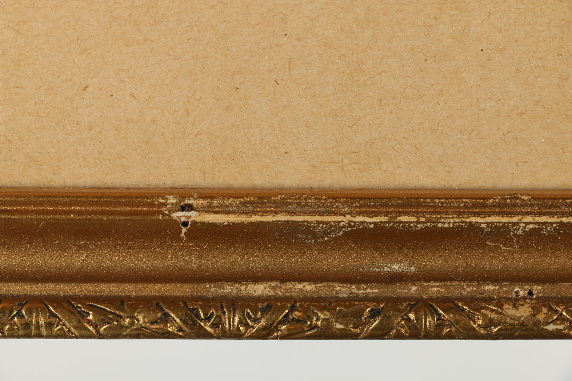 Hand-Colored Wood Engraving