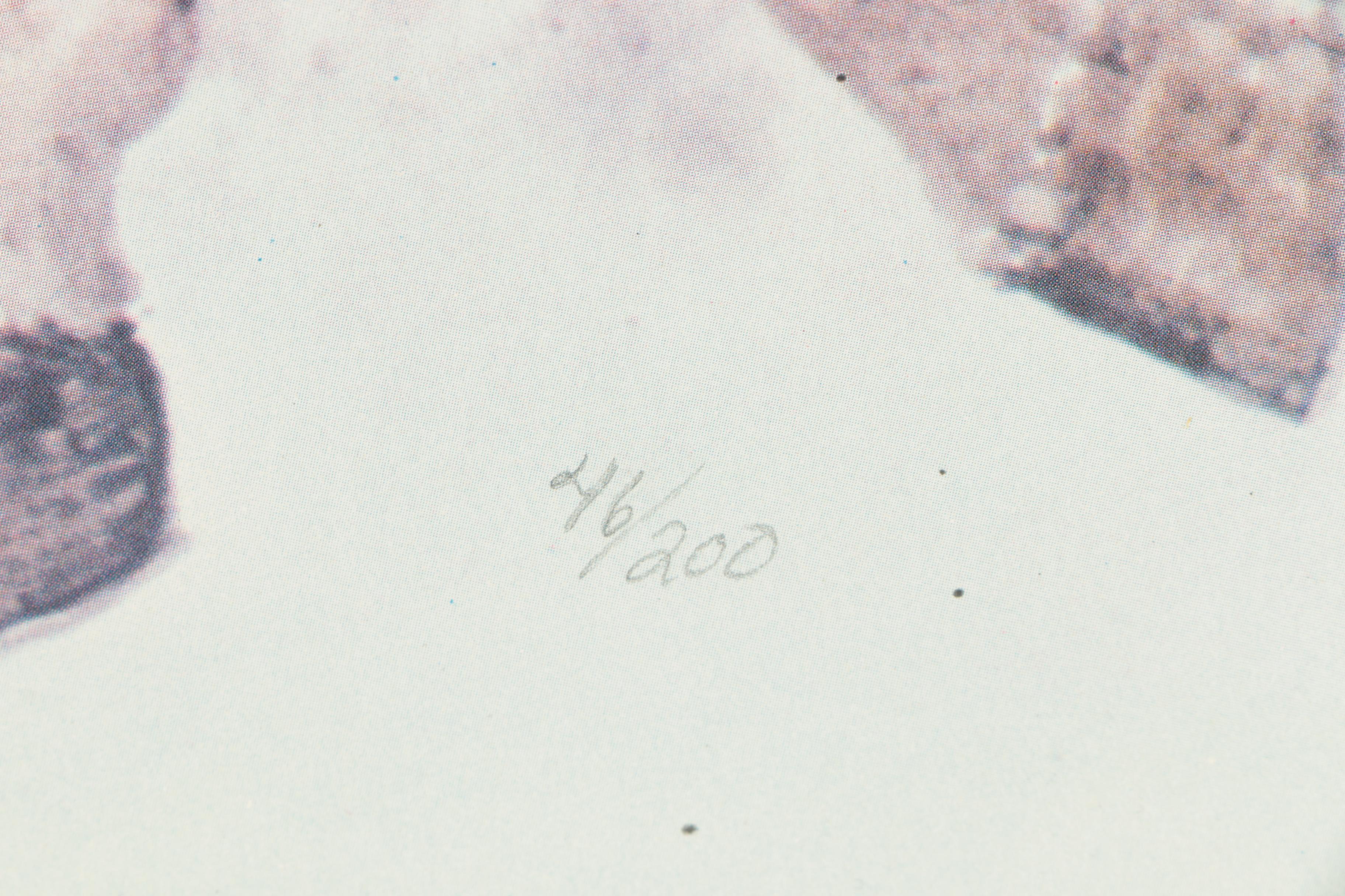 Nancy H. Strailey Limited Edition Offset Lithograph