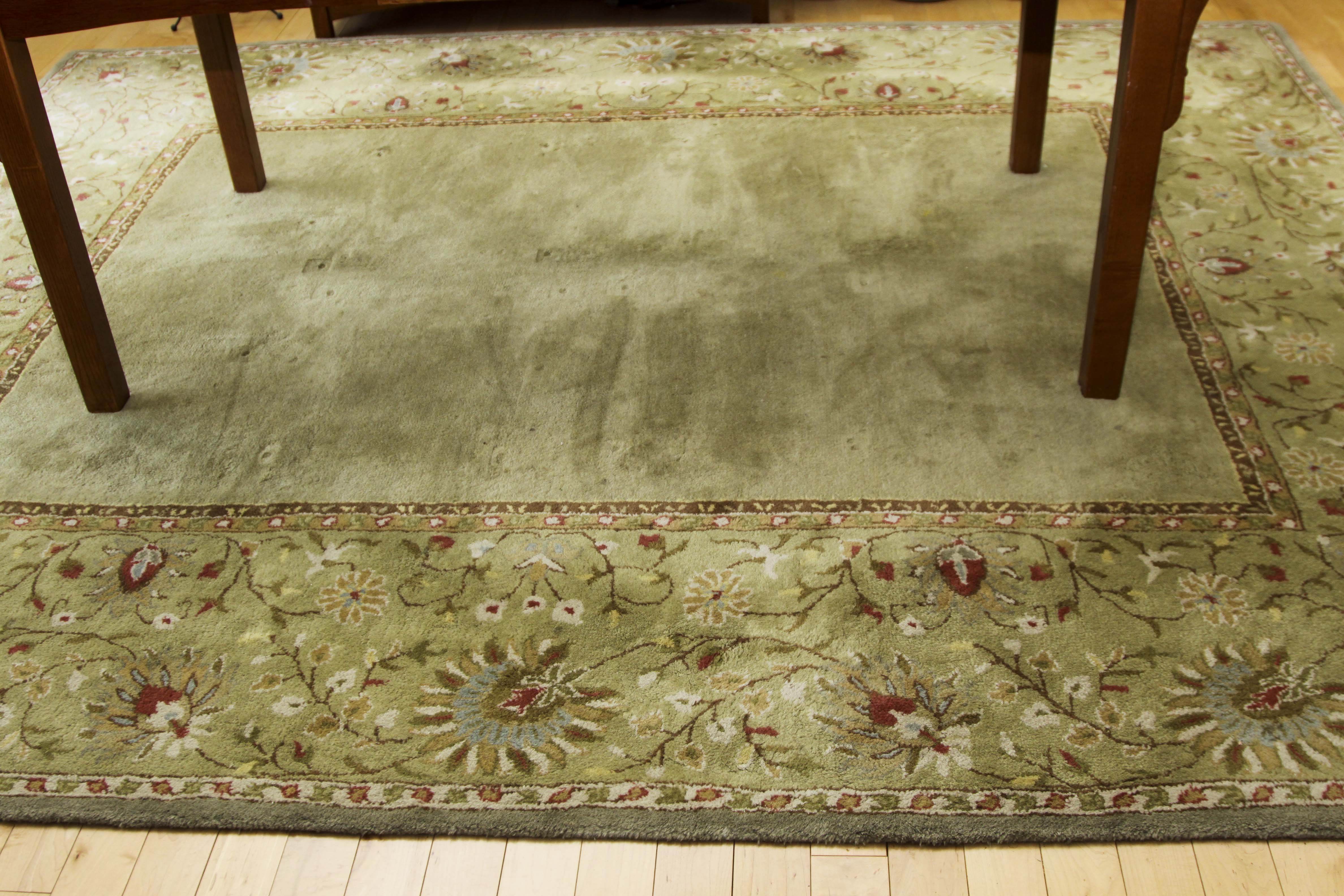Pottery Barn Area Rug