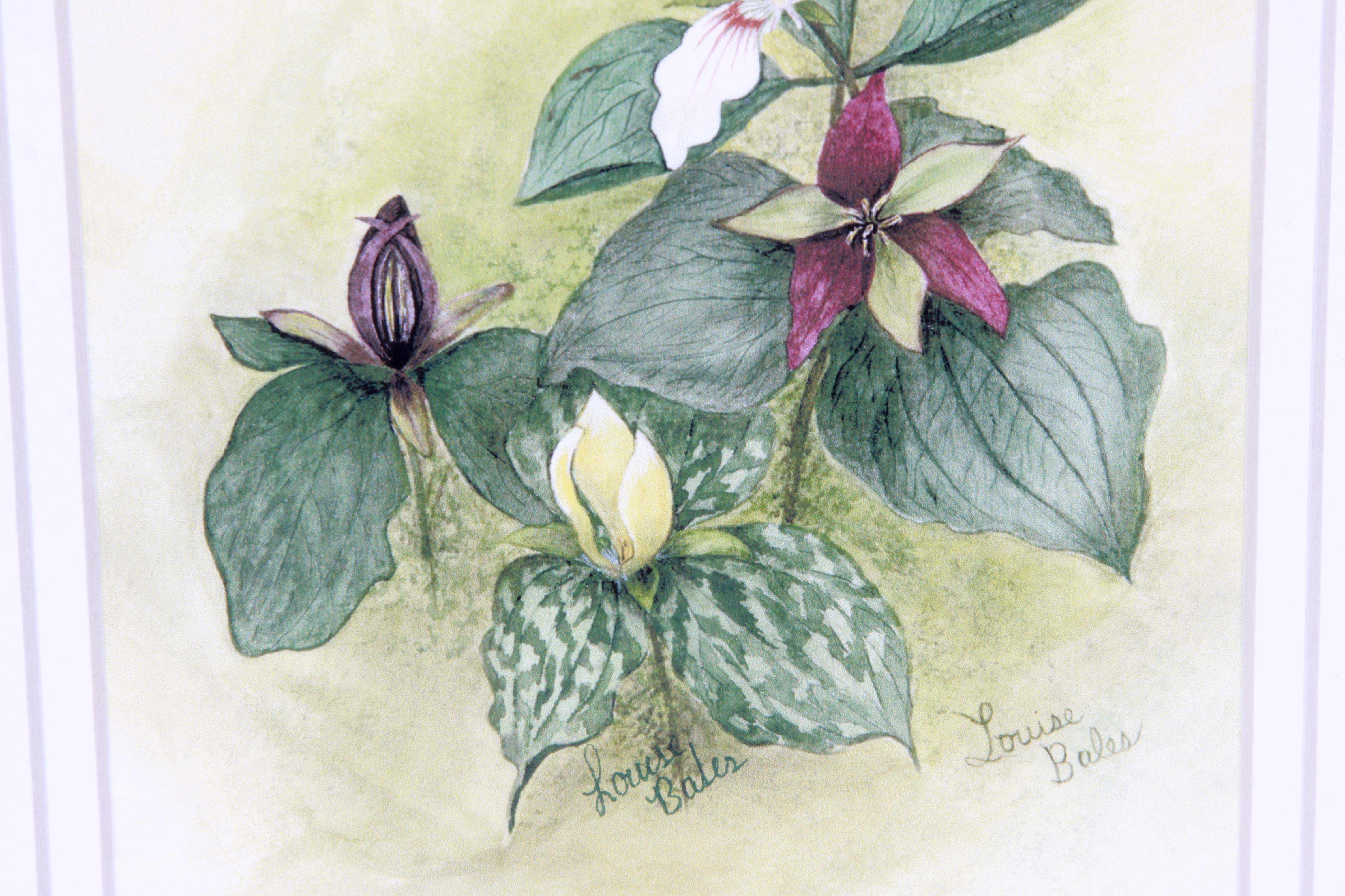 Framed Original Watercolor by Louise Bales