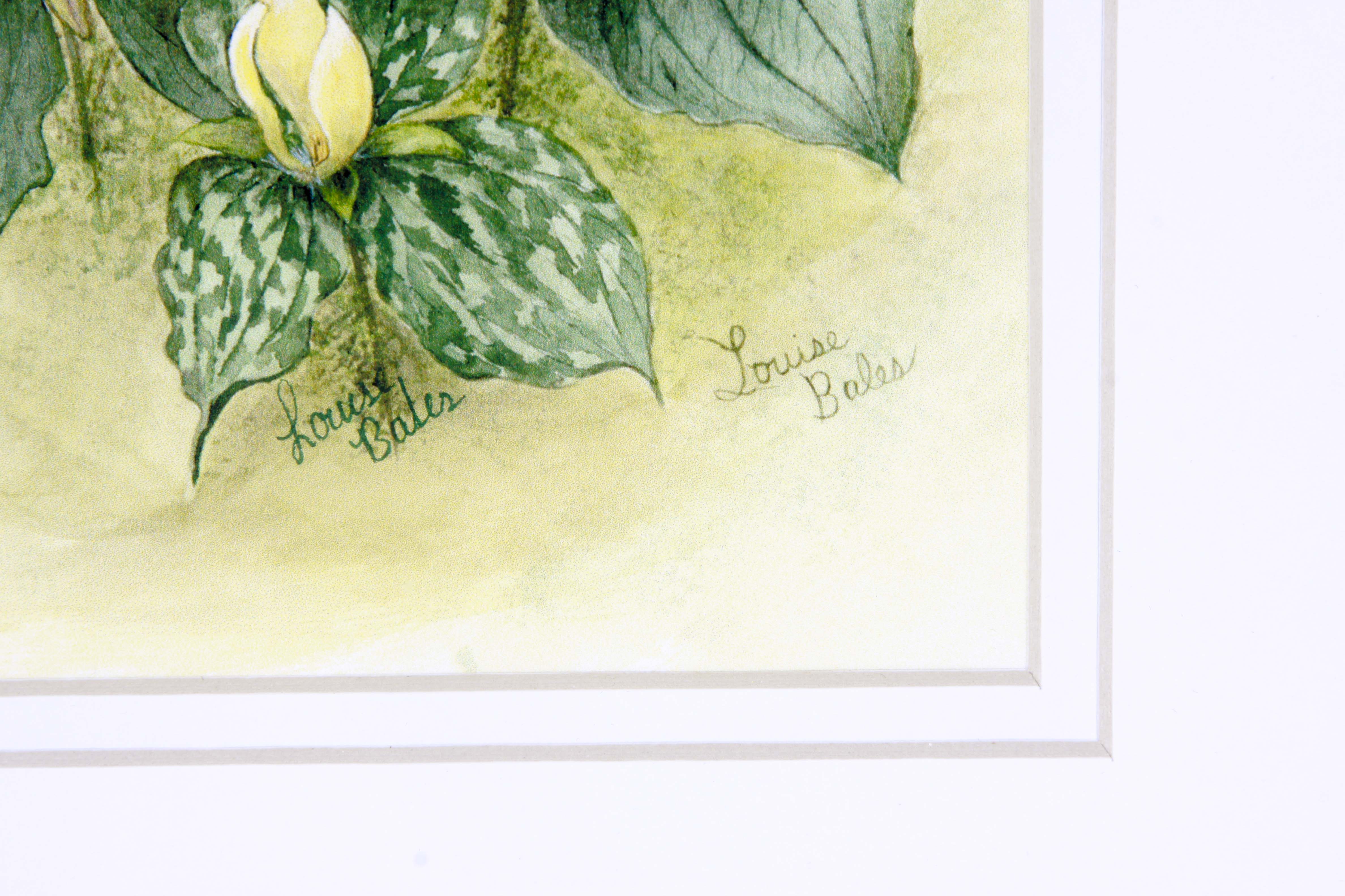 Framed Original Watercolor by Louise Bales