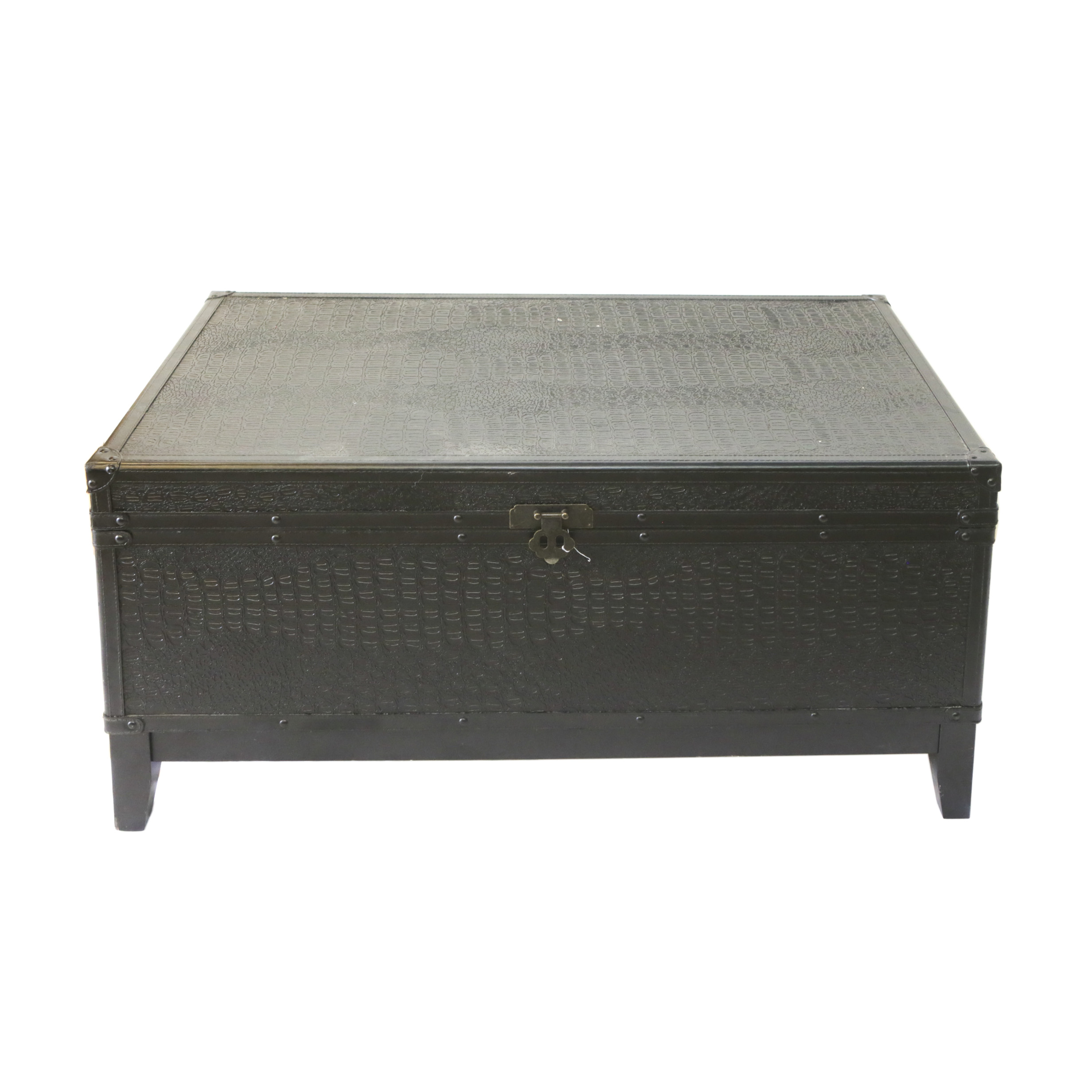 Contemporary Embossed Steamer Trunk