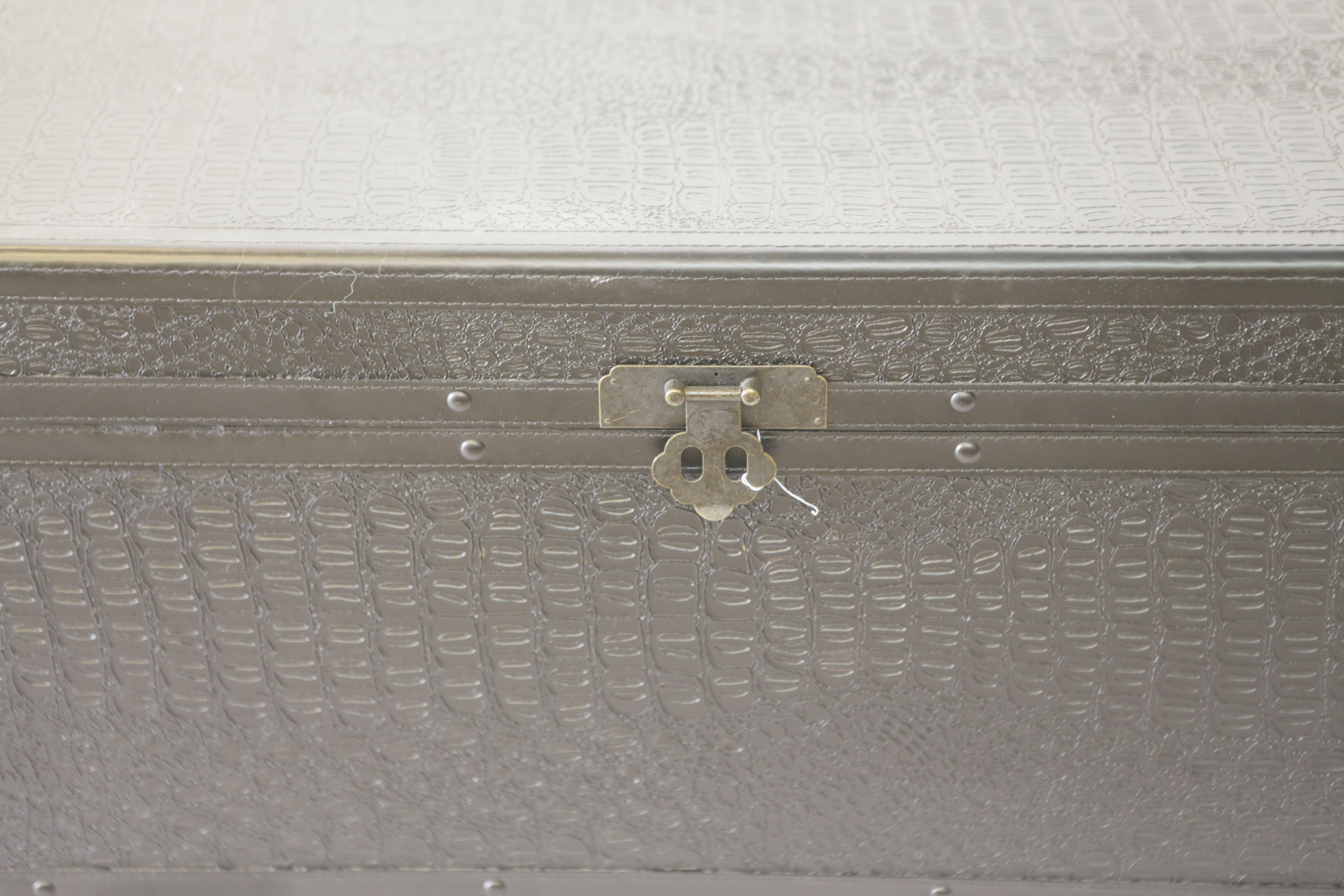 Contemporary Embossed Steamer Trunk