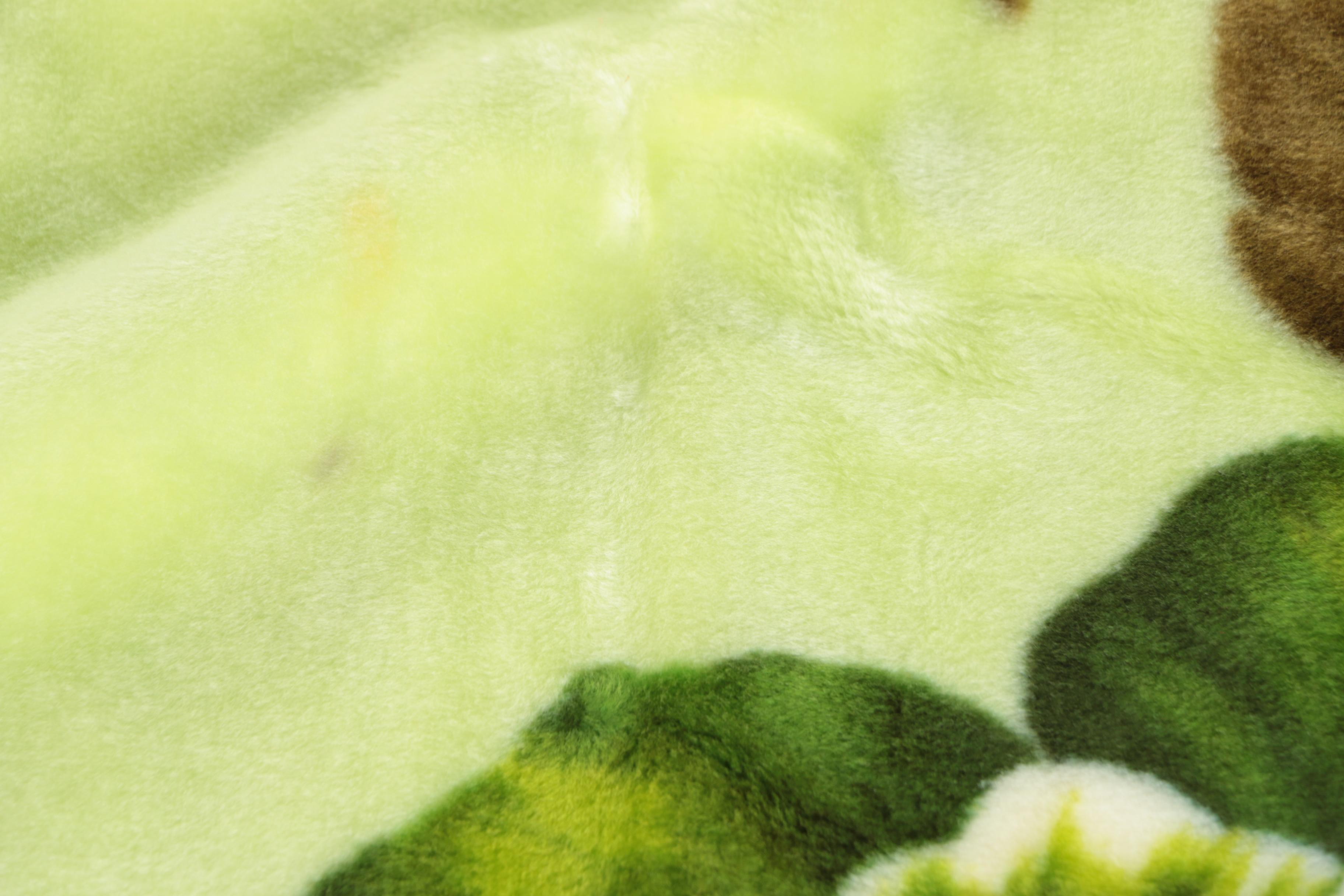 Asian Floral Fleece Blanket