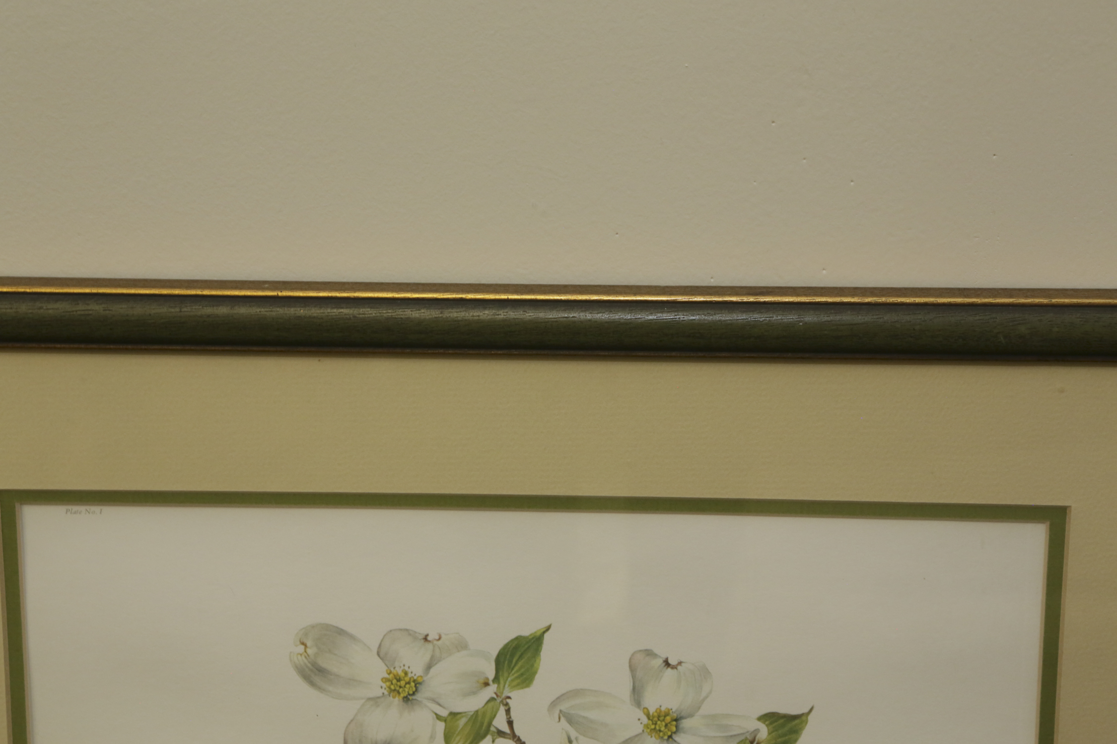 Anne Ofelia Dowden Offset Lithograph "Flowering Dogwood"