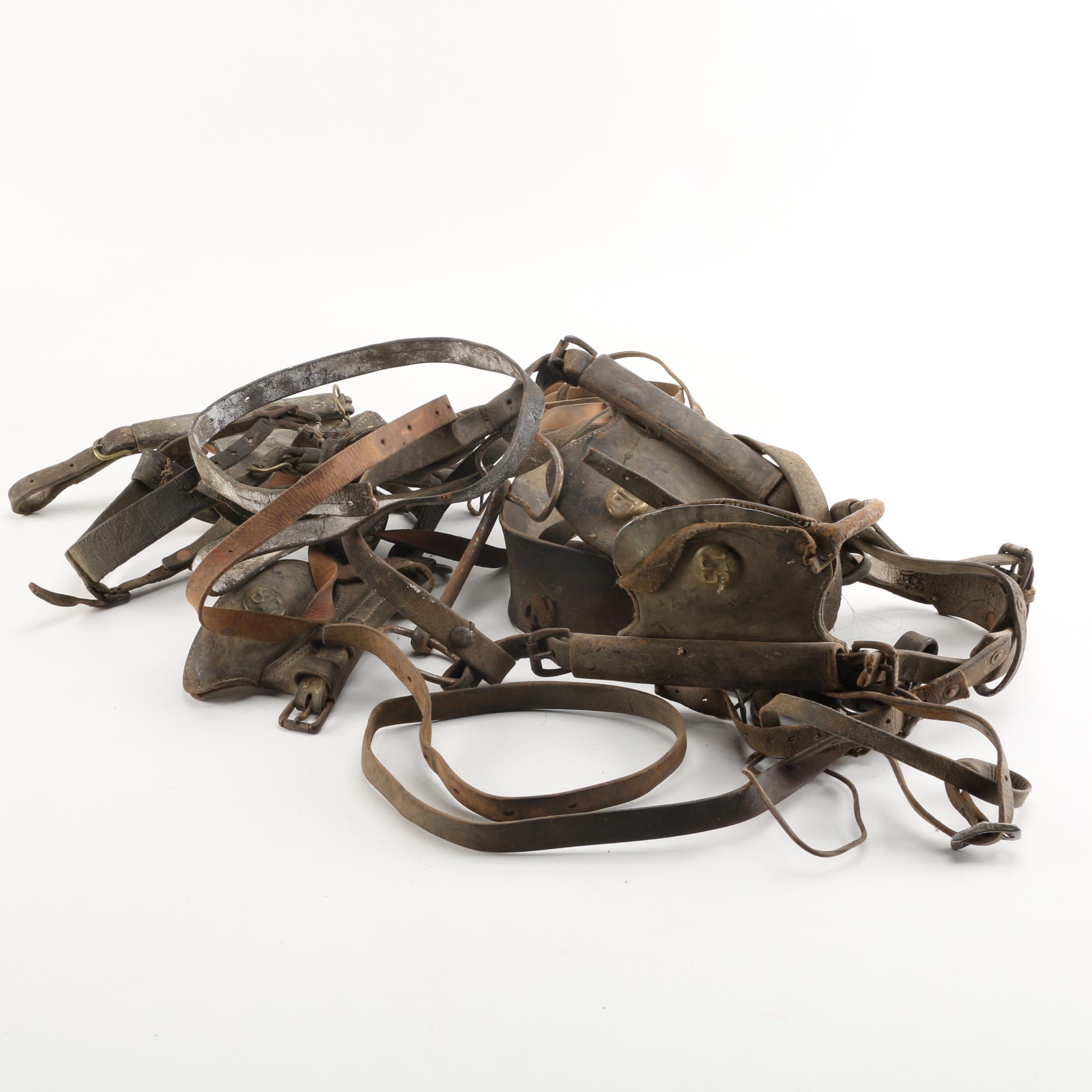 Vintage Equestrian Bridle with Civil War Style Rosettes