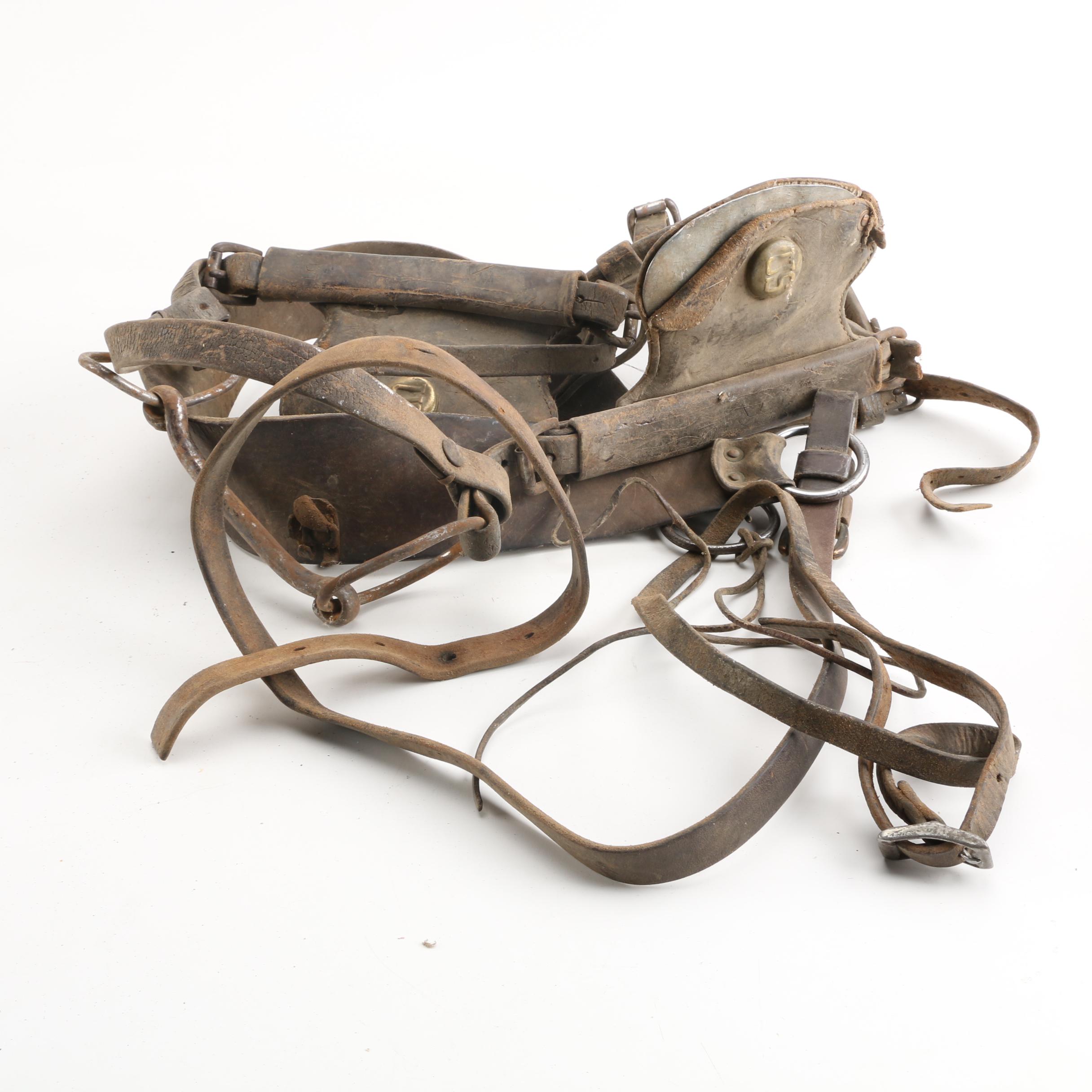Vintage Equestrian Bridle with Civil War Style Rosettes