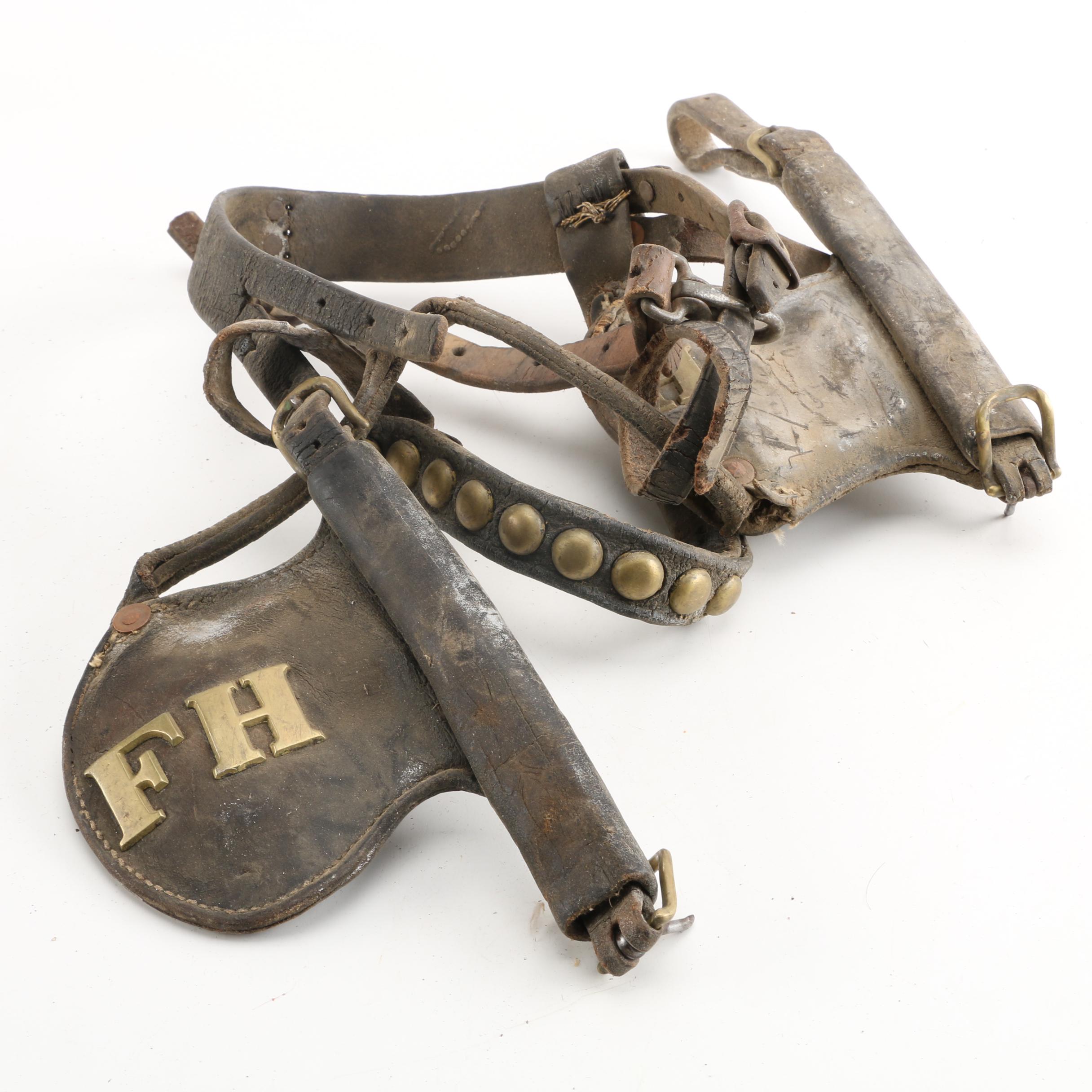 Vintage Equestrian Bridle with Civil War Style Rosettes