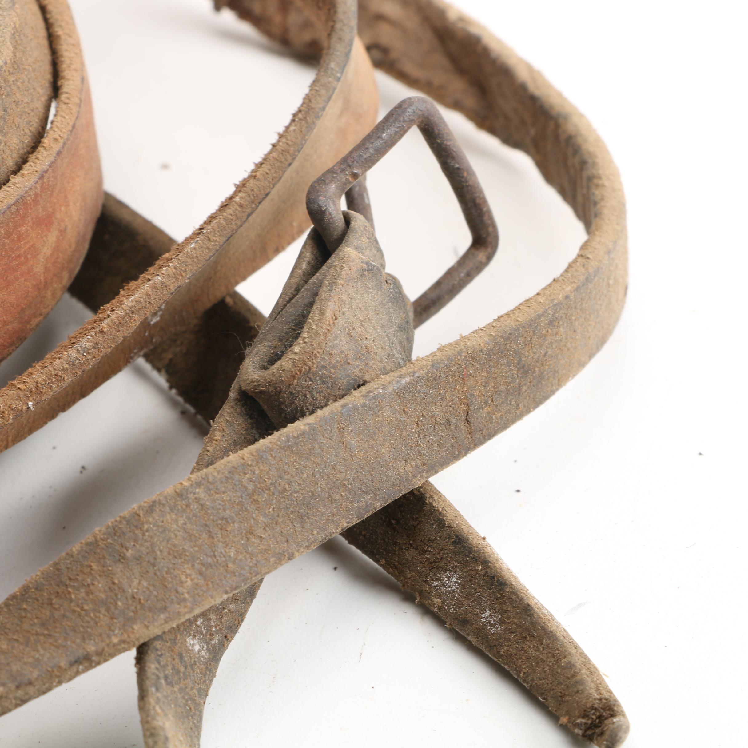 Vintage Equestrian Bridle with Civil War Style Rosettes