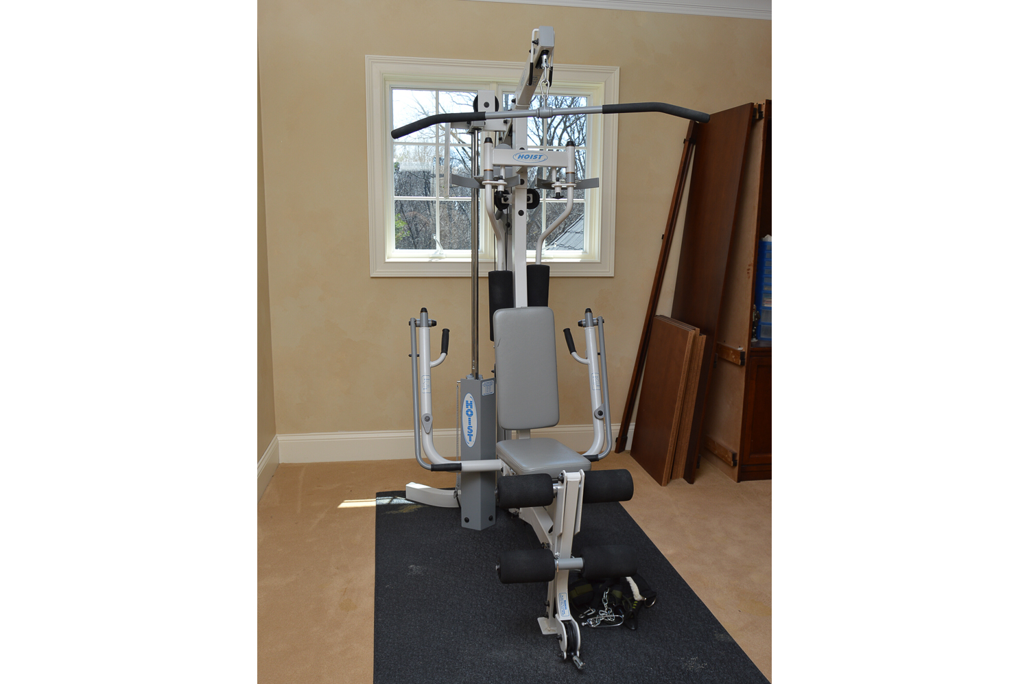 Hoist H310 Fitness Machine EBTH