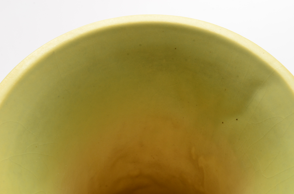 Vintage Roseville Pottery "Apple Blossom" Green Vase