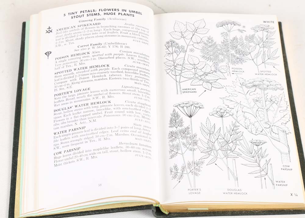 Easton Press Roger Peterson Fields Guides