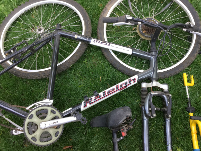 Raleigh M20 Mountain Bike