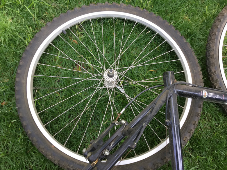 Raleigh M20 Mountain Bike