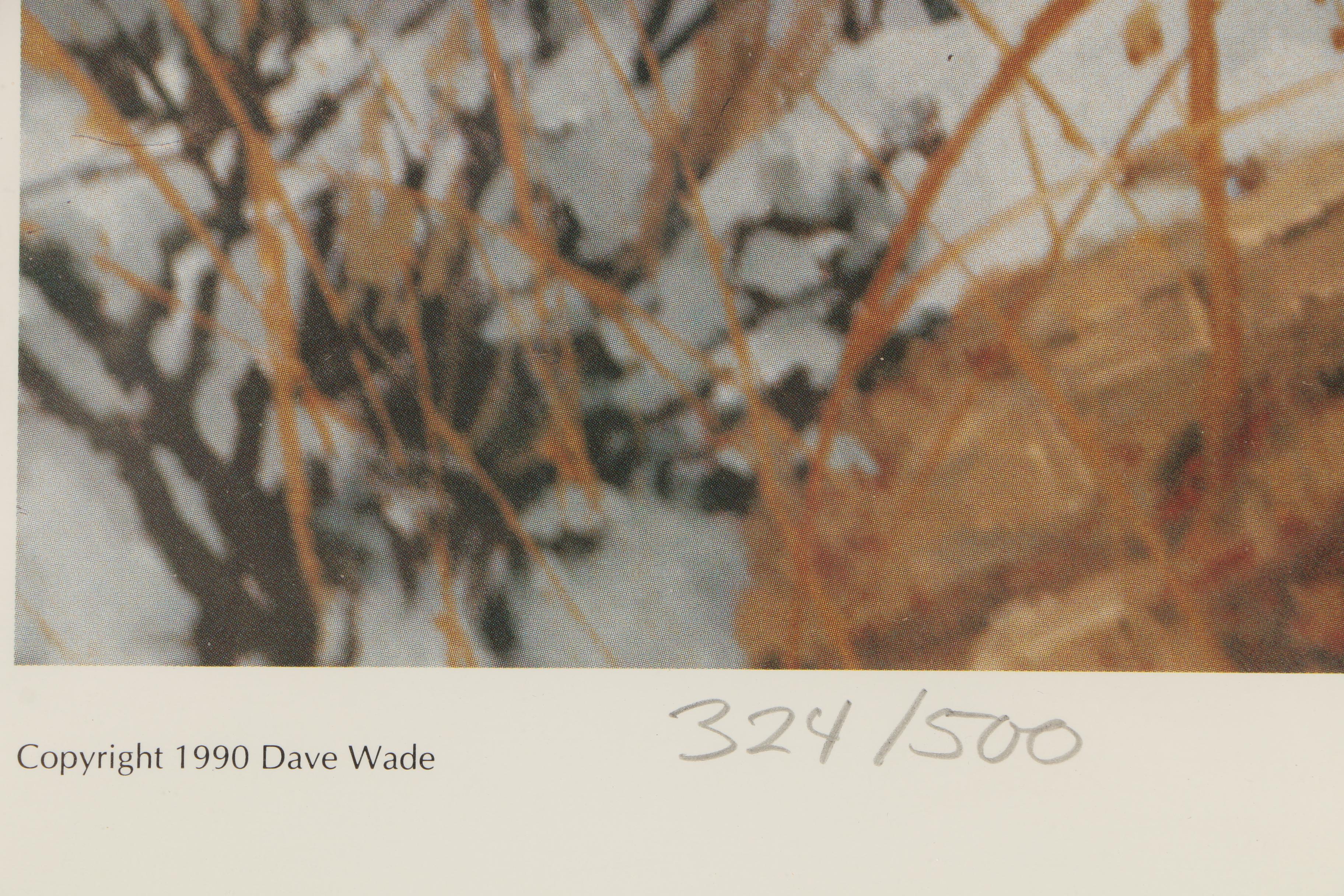 Dave Wade Limited Edition Offset Lithographic Print "Grey River Buck"