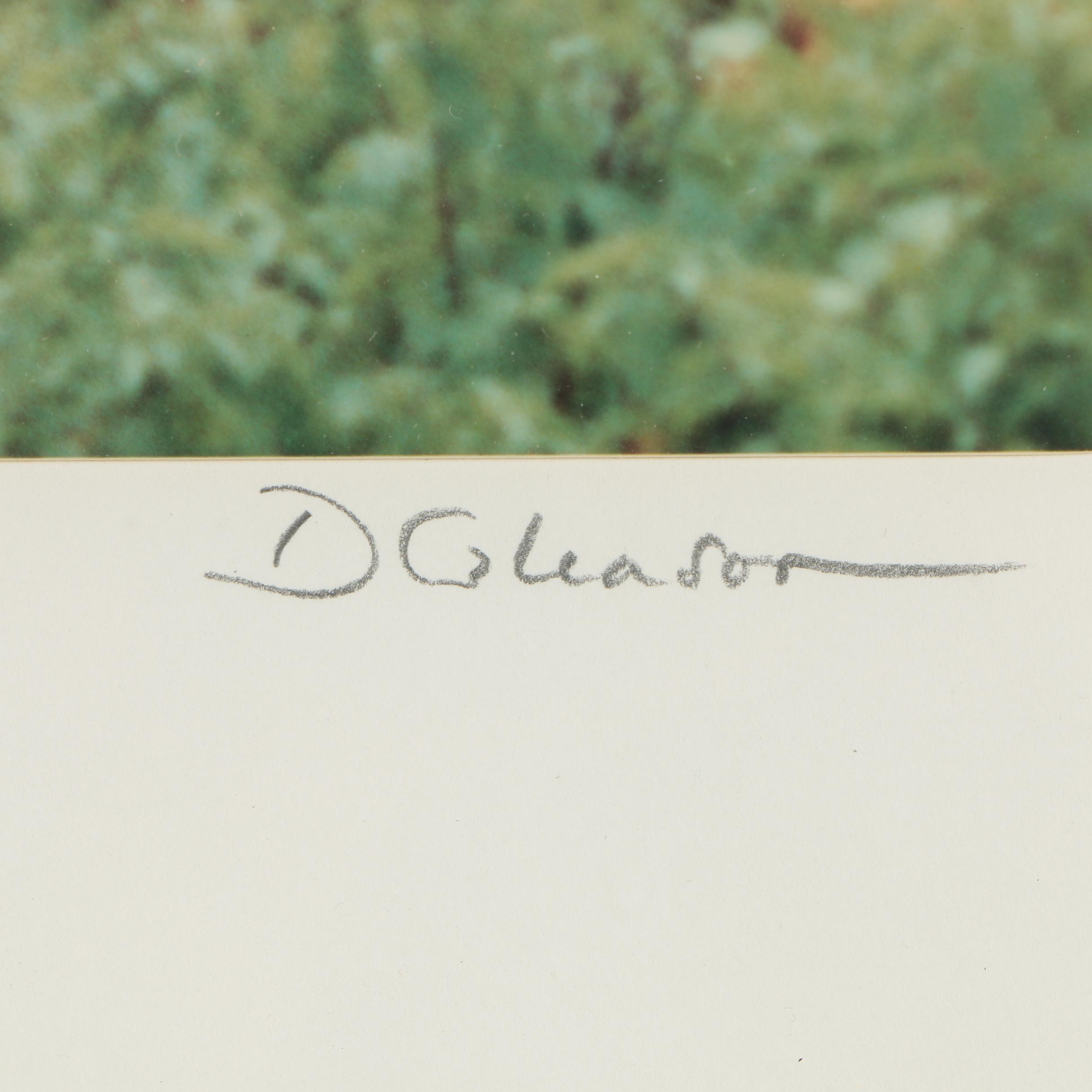 D. Gleason Color Photograph "Scotney Castle 1987"