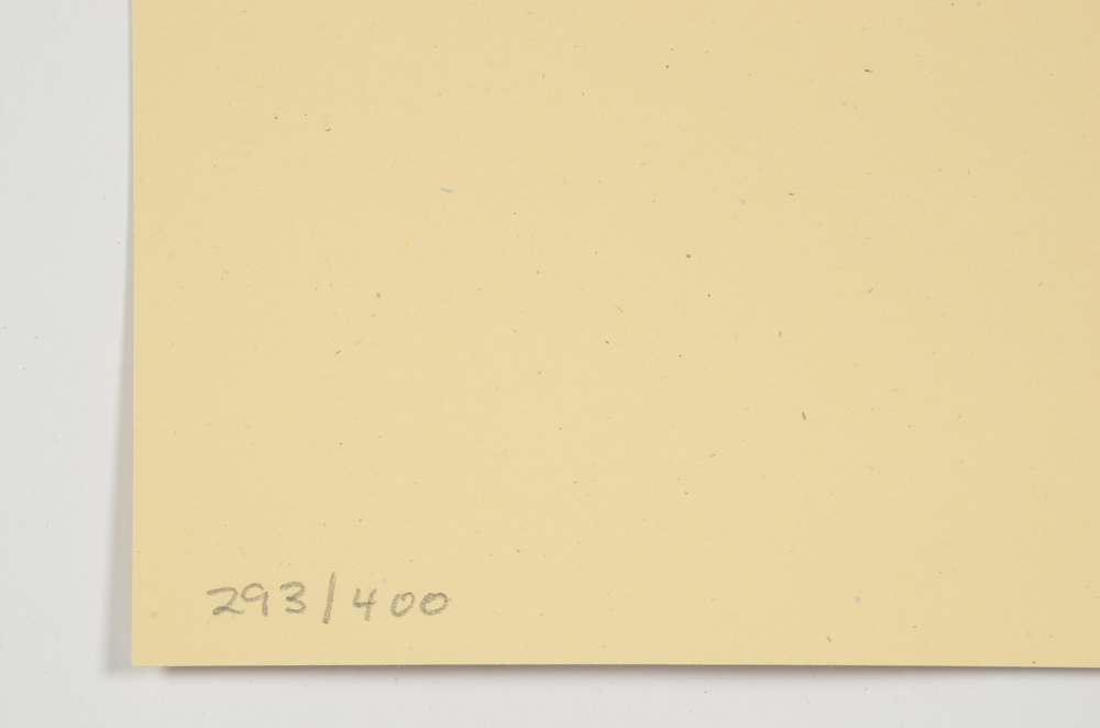 Shepard Fairey Limited Edition Screenprint