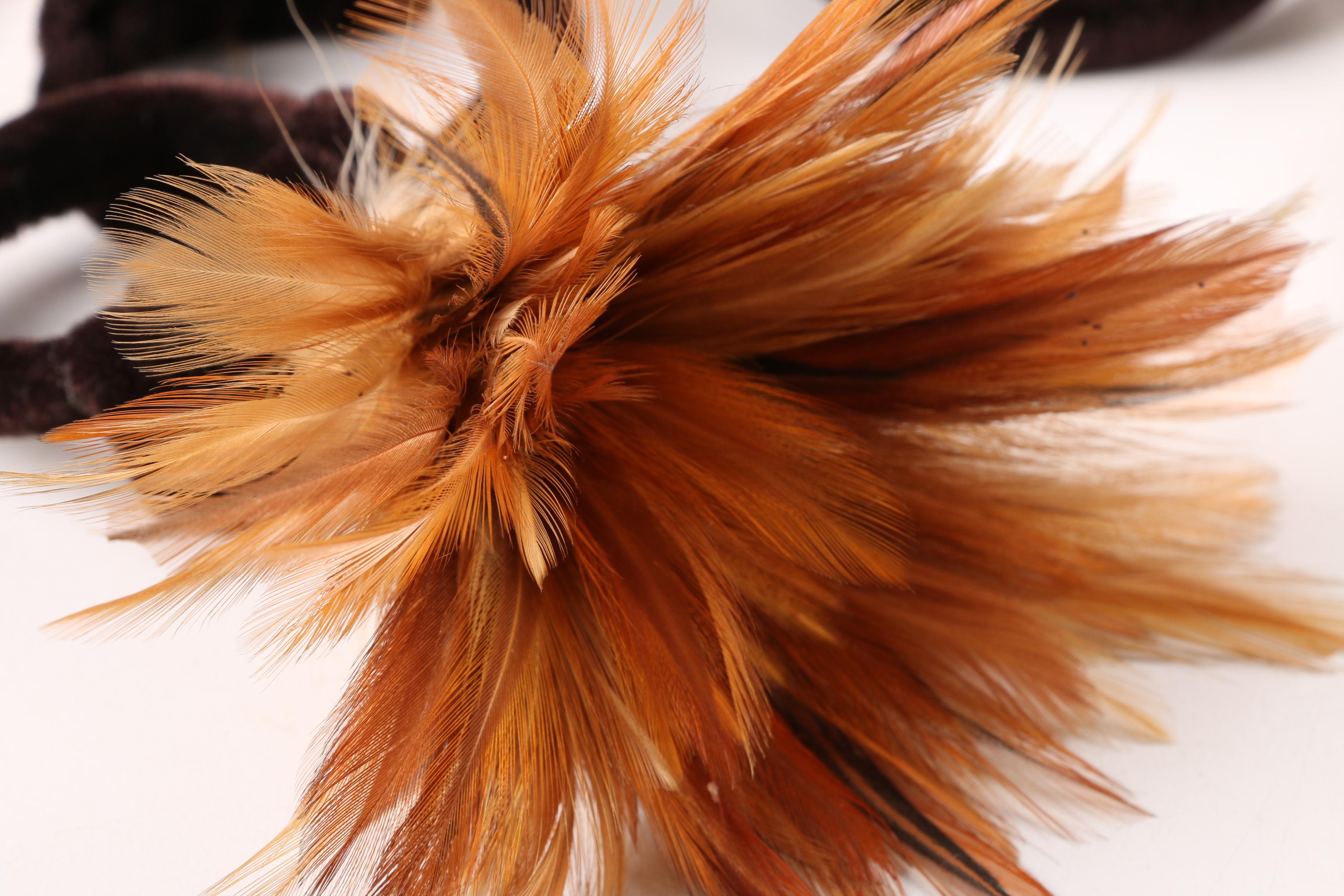 Dinnerware Featuring Ralph Lauren and Mikasa