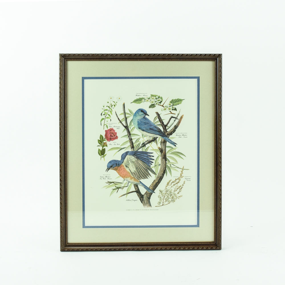 1957 Offset Lithograph After Arthur Singer "Mountain Bluebird"