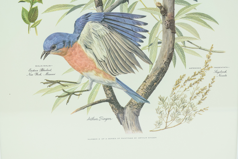 1957 Offset Lithograph After Arthur Singer "Mountain Bluebird"