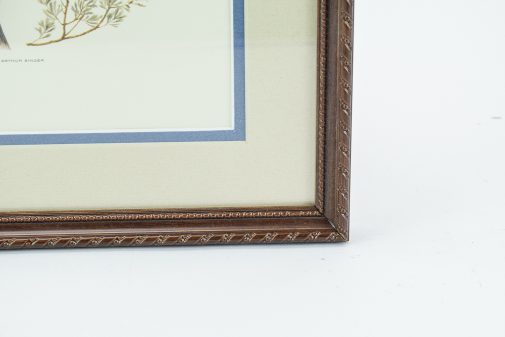 1957 Offset Lithograph After Arthur Singer "Mountain Bluebird"