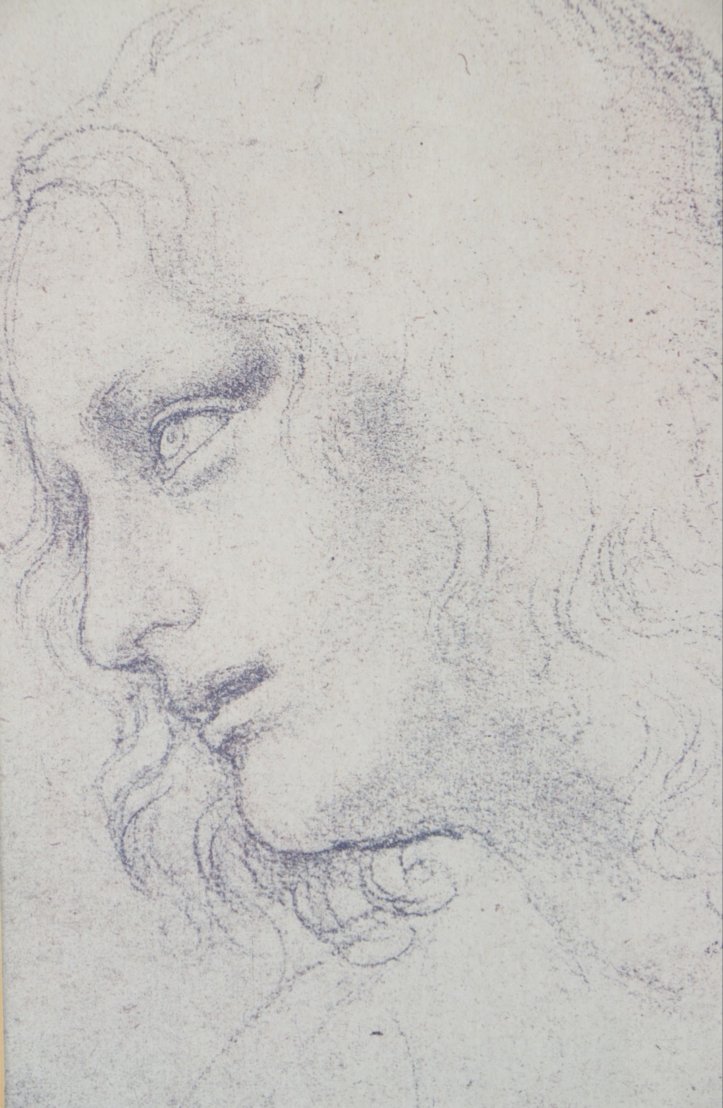 Offset Lithographs After Leonardo Da Vinci