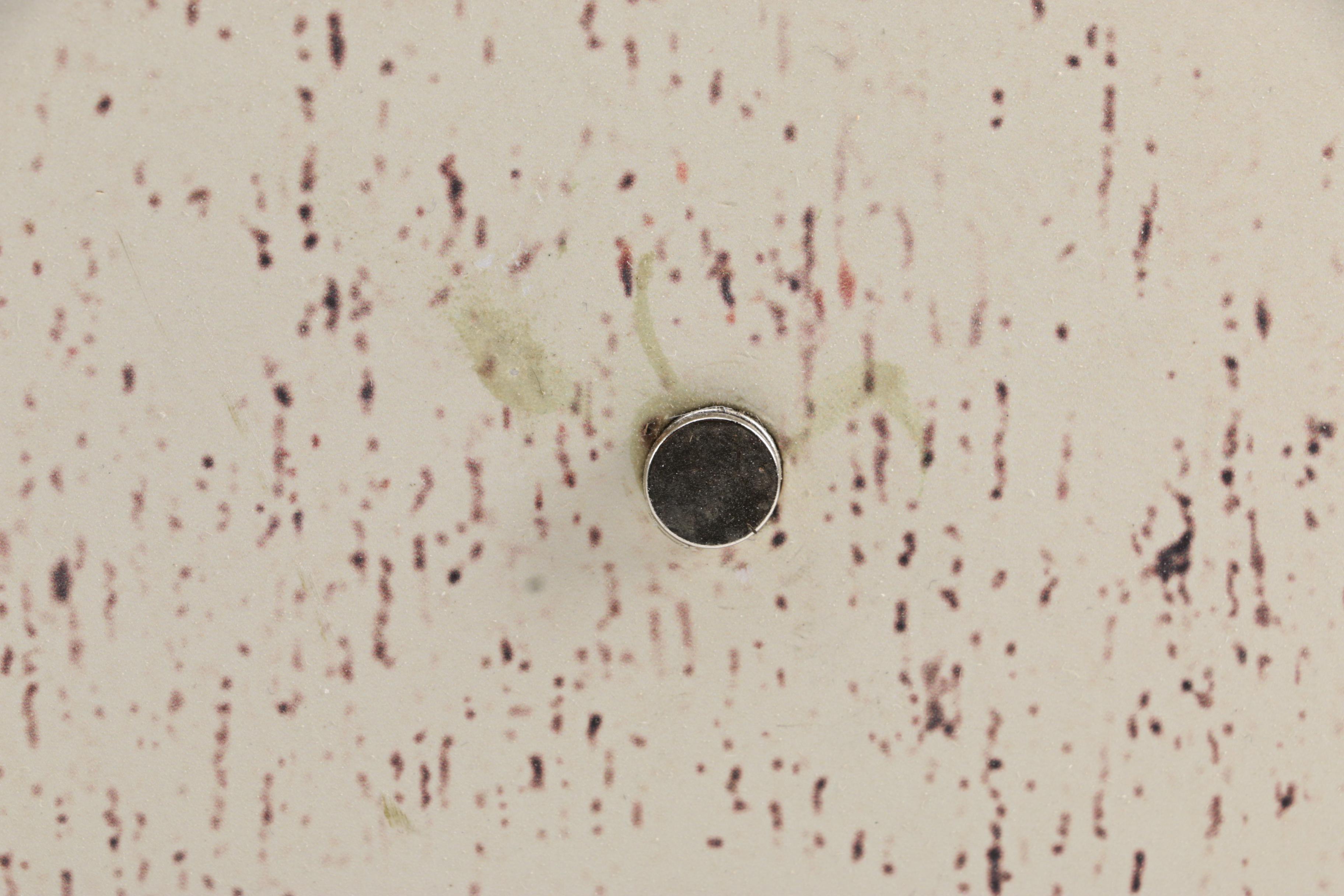 Decorative Wall Hanging