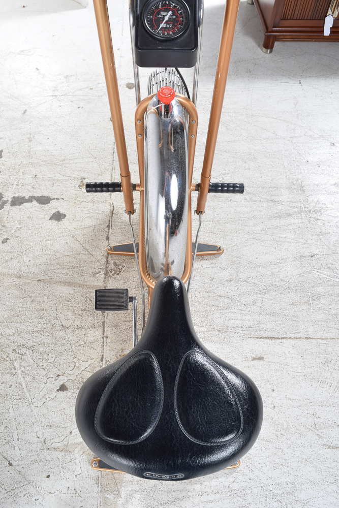 Schwinn "Airdyne" Stationary Exercise Bike